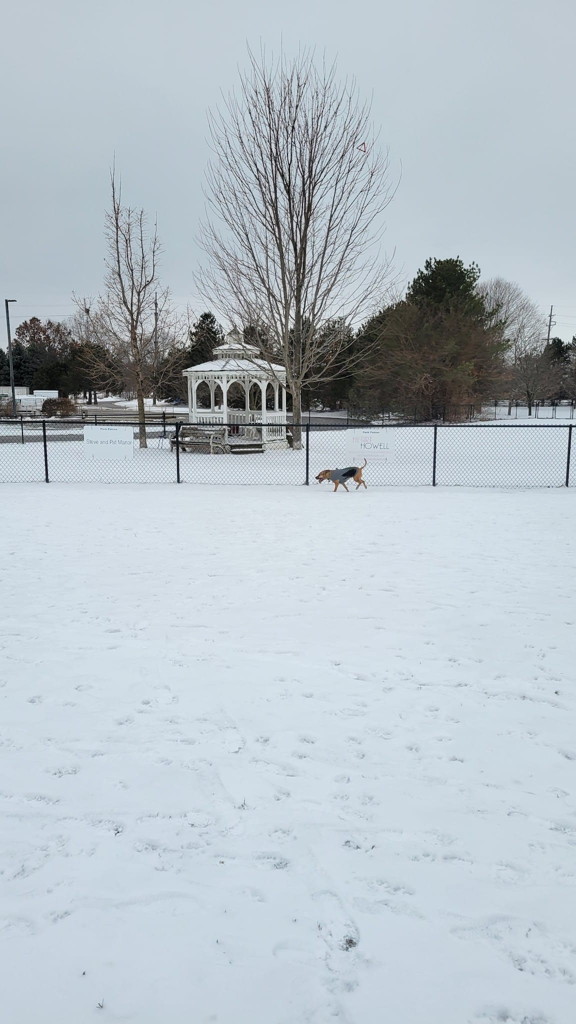 Countryside Veterinary Dog Park - Howell, MI
