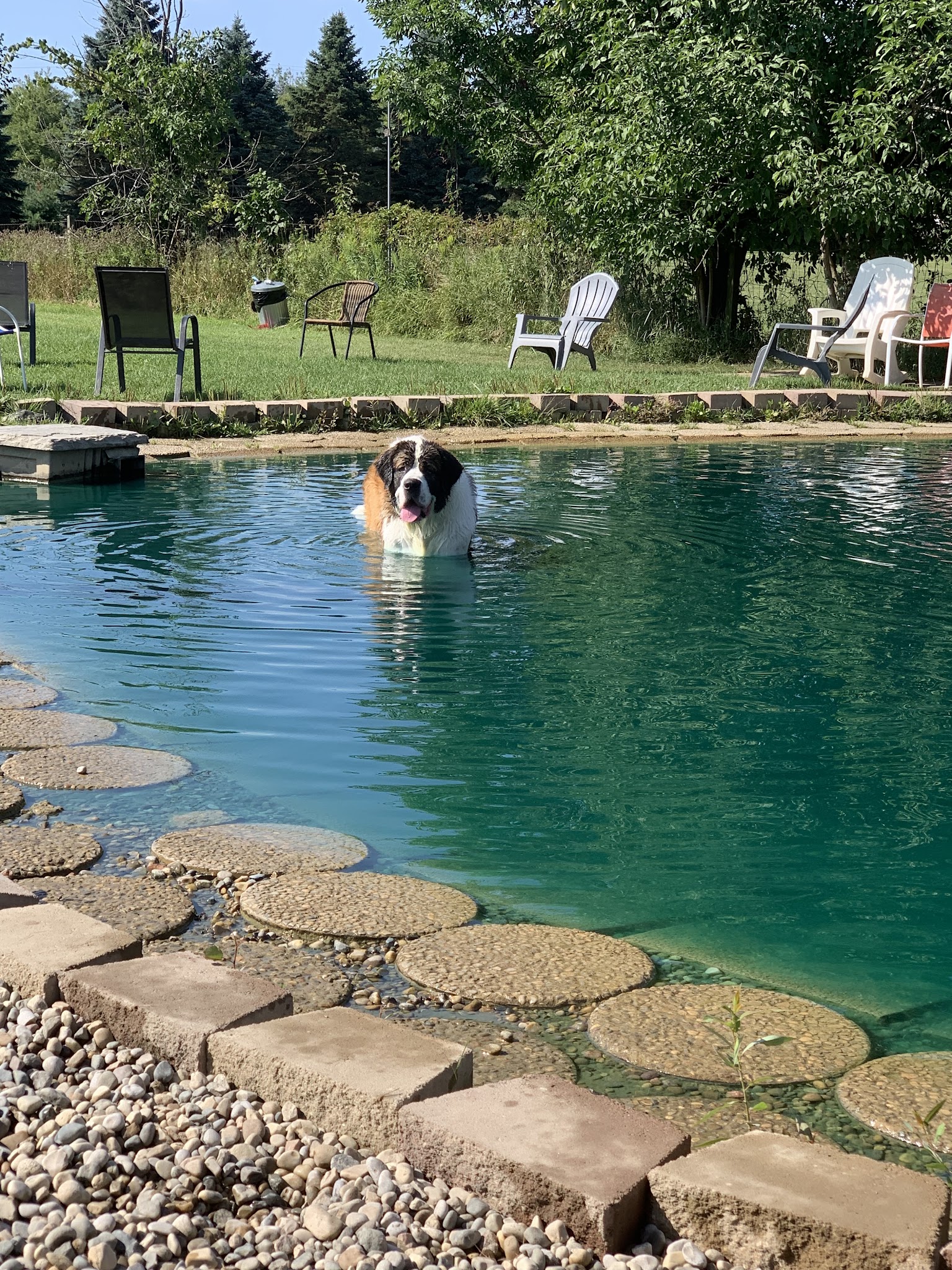 EZDogPark - Howell, MI