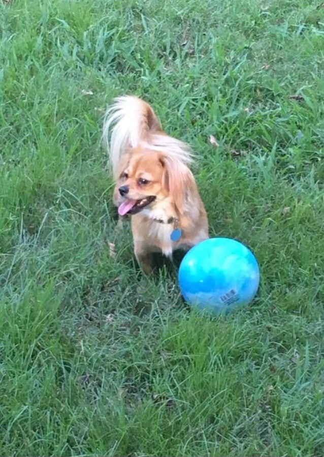 Hoxie City Park - Hoxie, AR