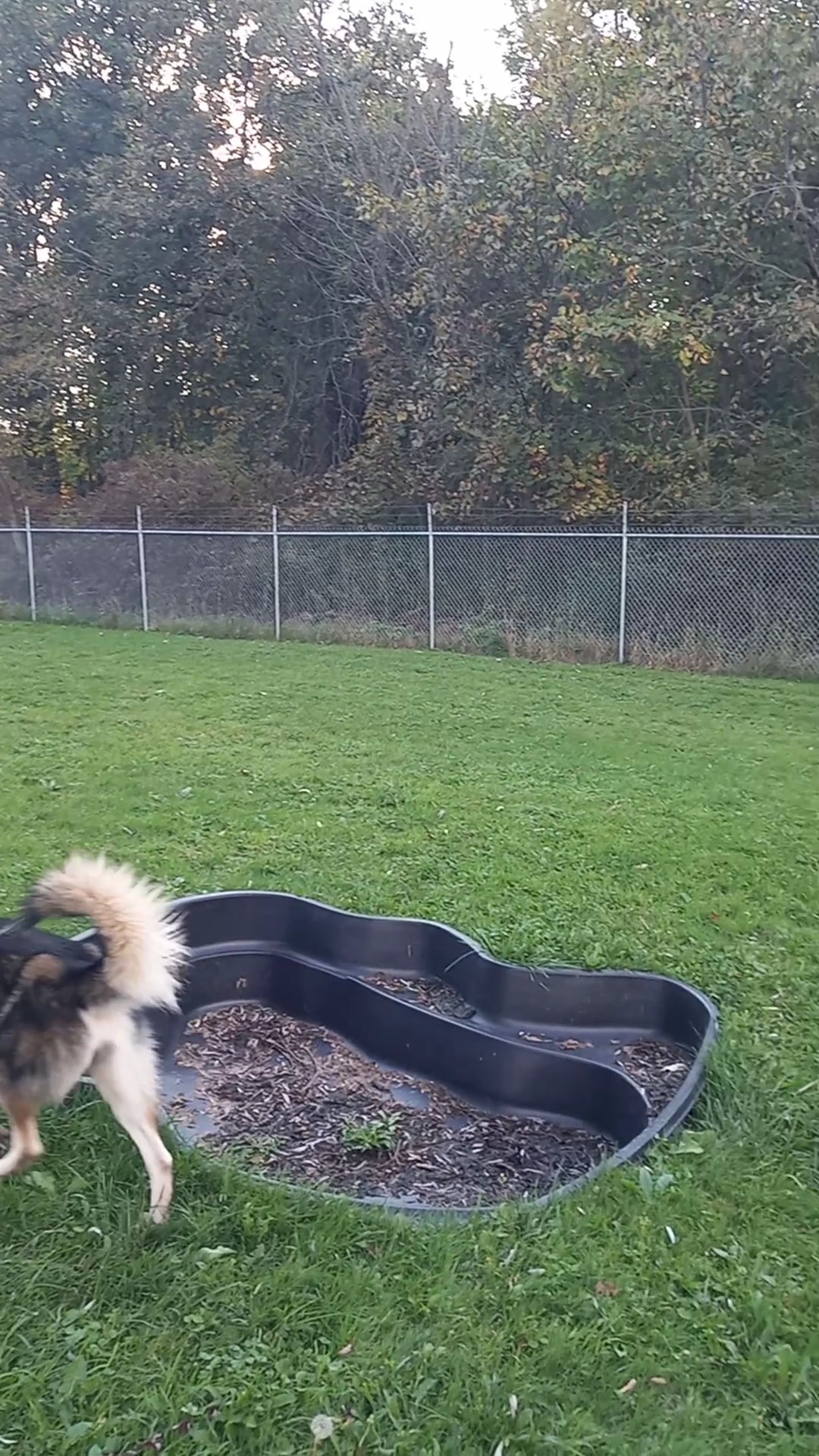 Hubbard's Scentral Dog Park - Hubbard, OH