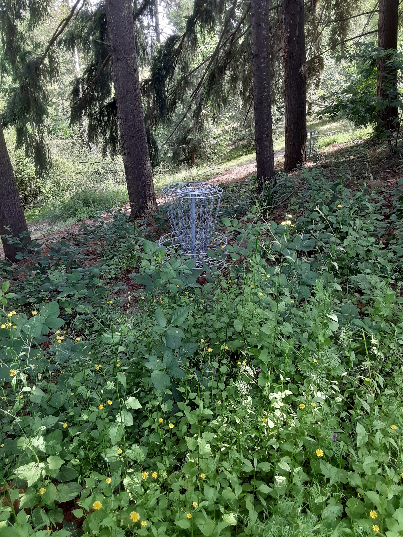 Jan LaFollette DGC, Dog Park and Disc Golf - Hubbard, OR