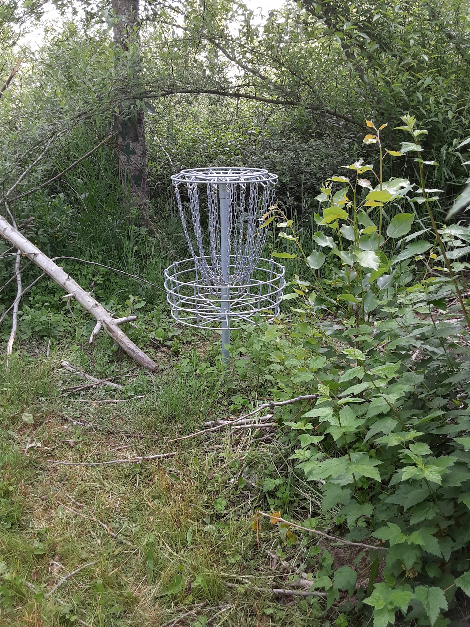 Jan LaFollette DGC, Dog Park and Disc Golf - Hubbard, OR