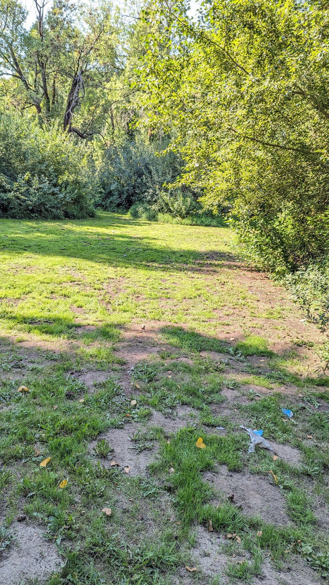 Jan LaFollette DGC, Dog Park and Disc Golf - Hubbard, OR