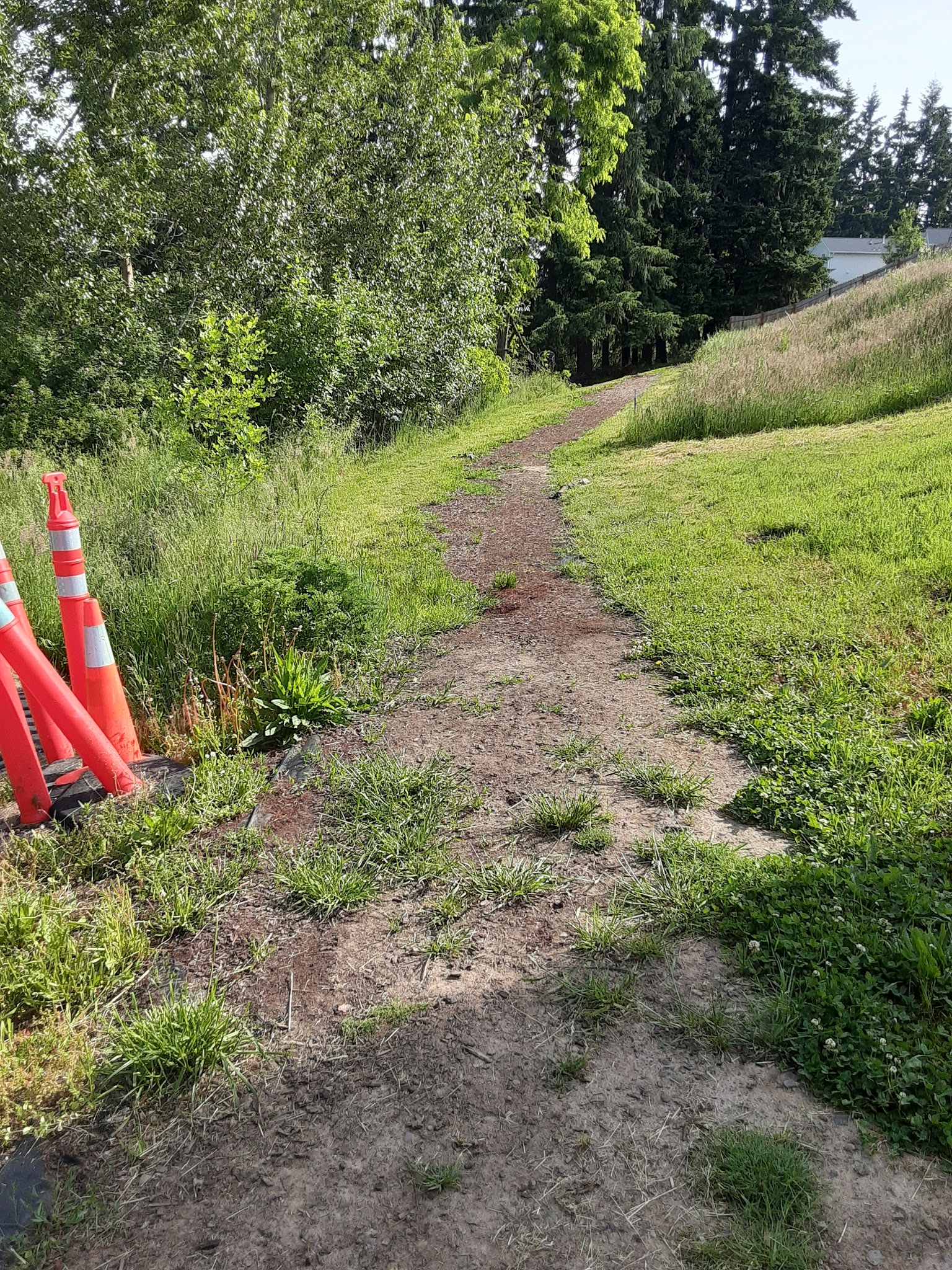 Jan LaFollette DGC, Dog Park and Disc Golf - Hubbard, OR