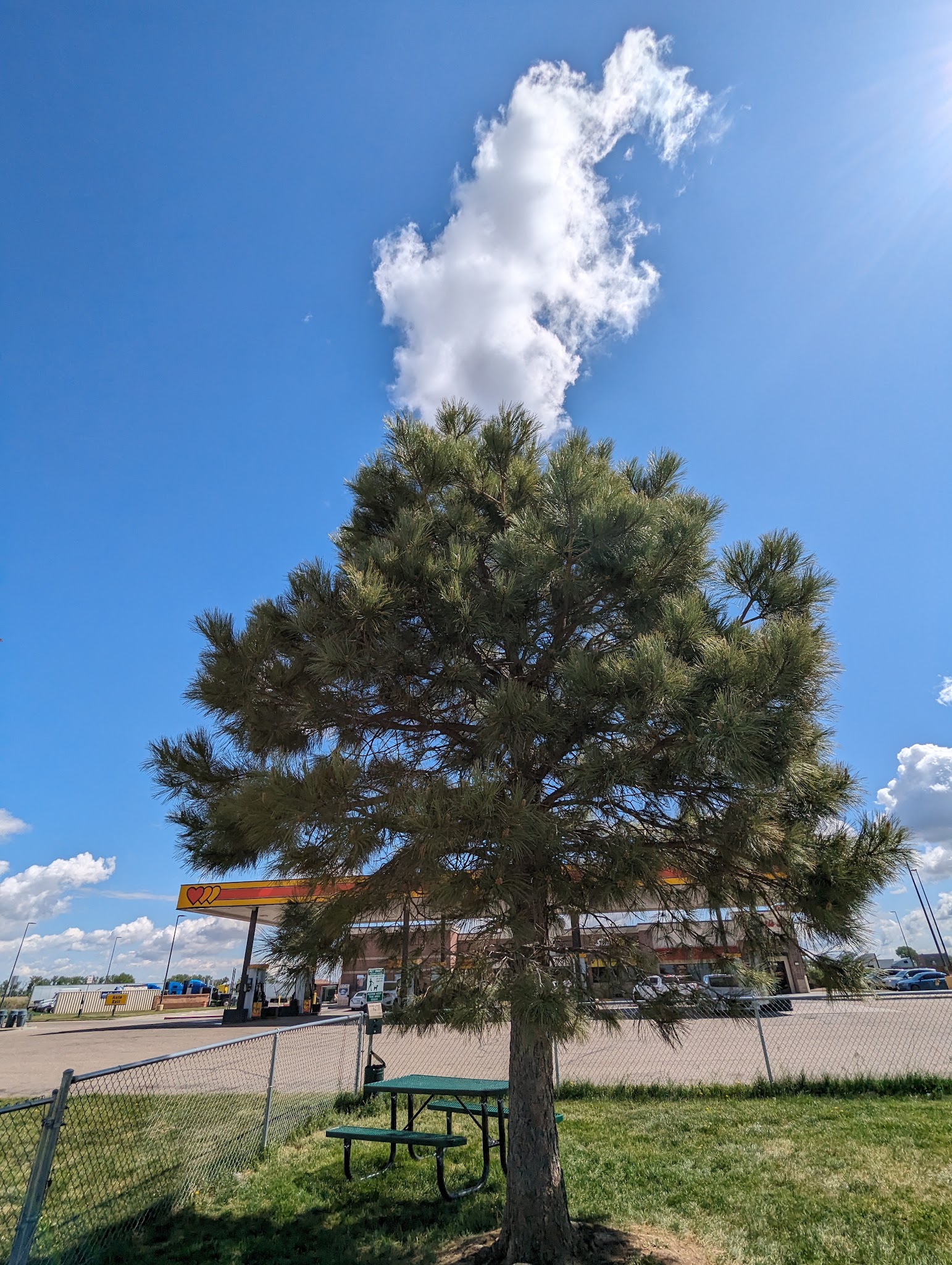 Dog Park at Love’s Travel Stops - Hudson, CO