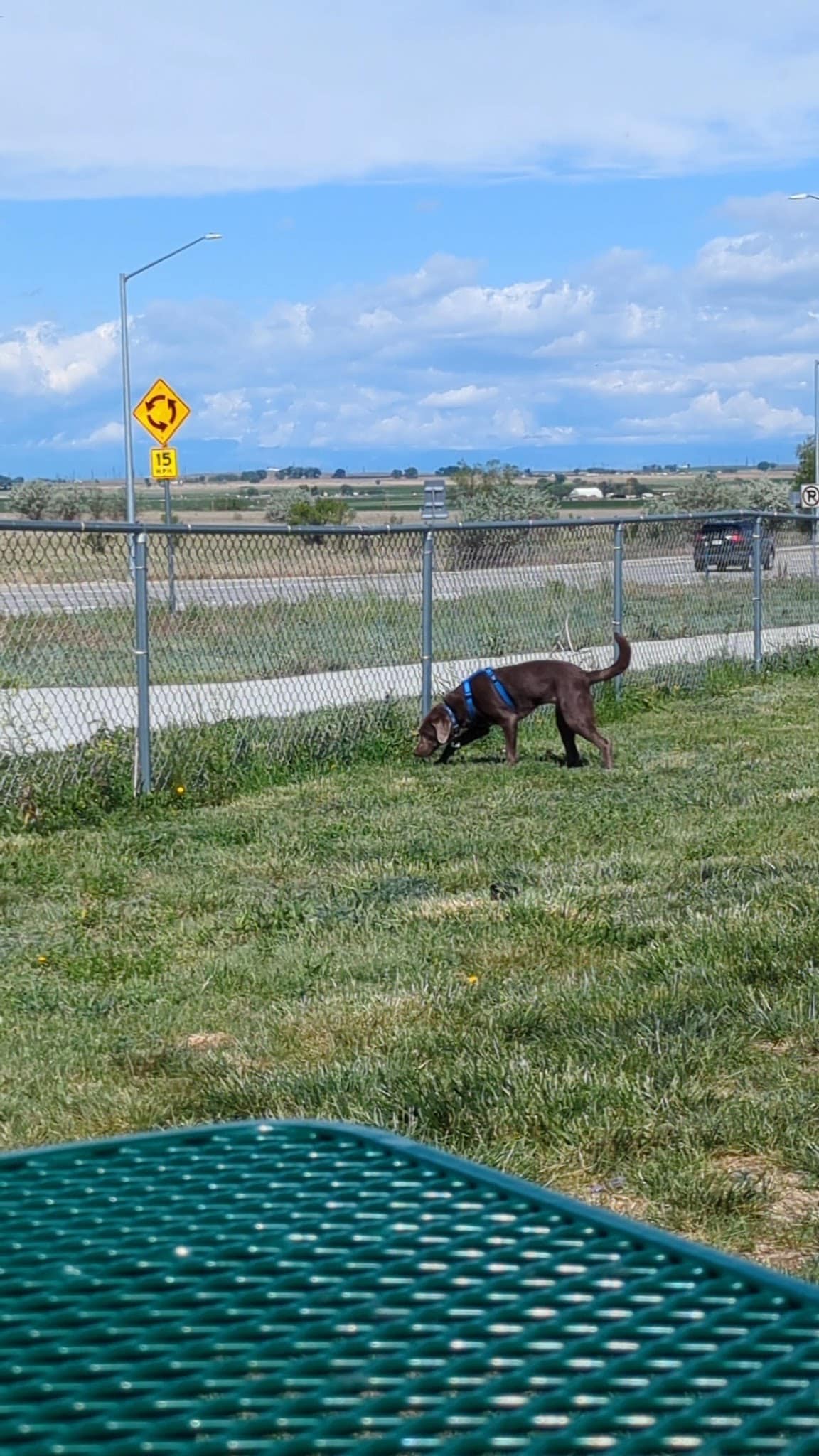 Dog Park at Love’s Travel Stops - Hudson, CO