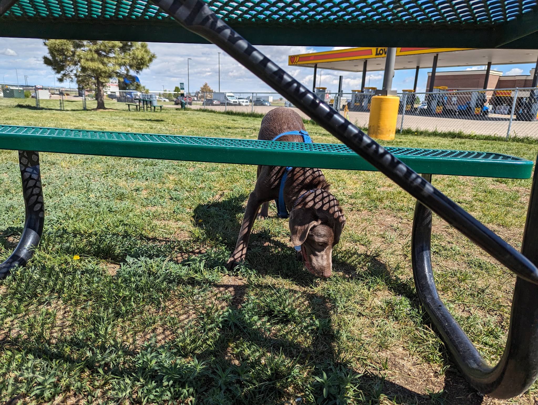 Dog Park at Love’s Travel Stops - Hudson, CO