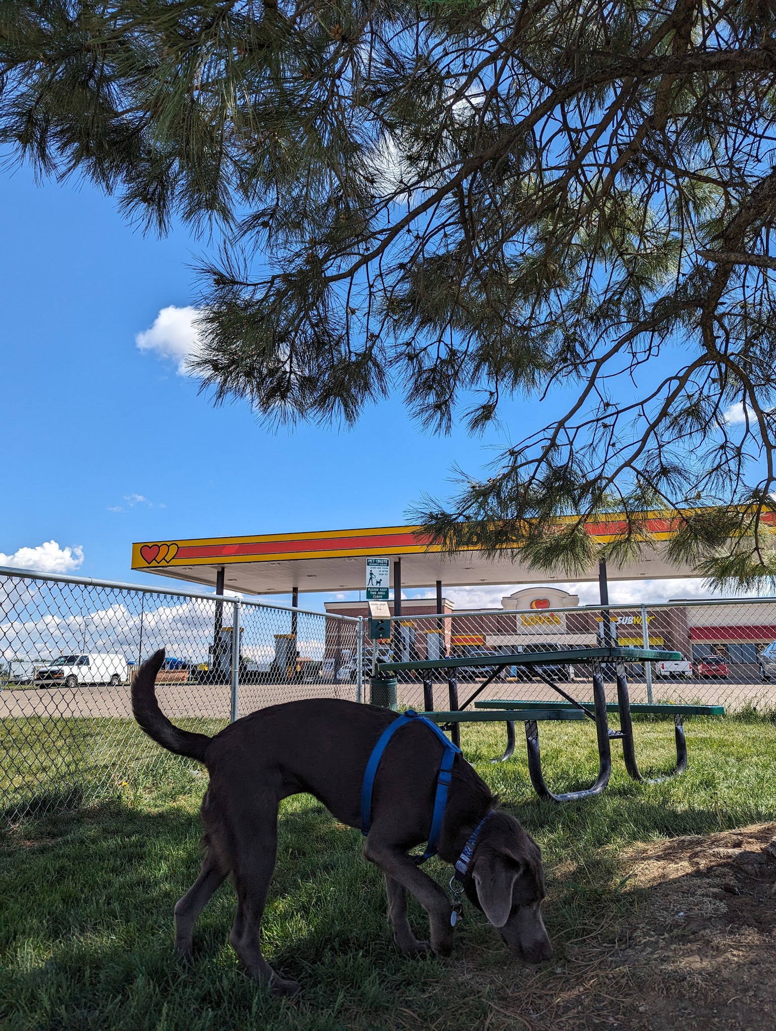 Dog Park at Love’s Travel Stops - Hudson, CO