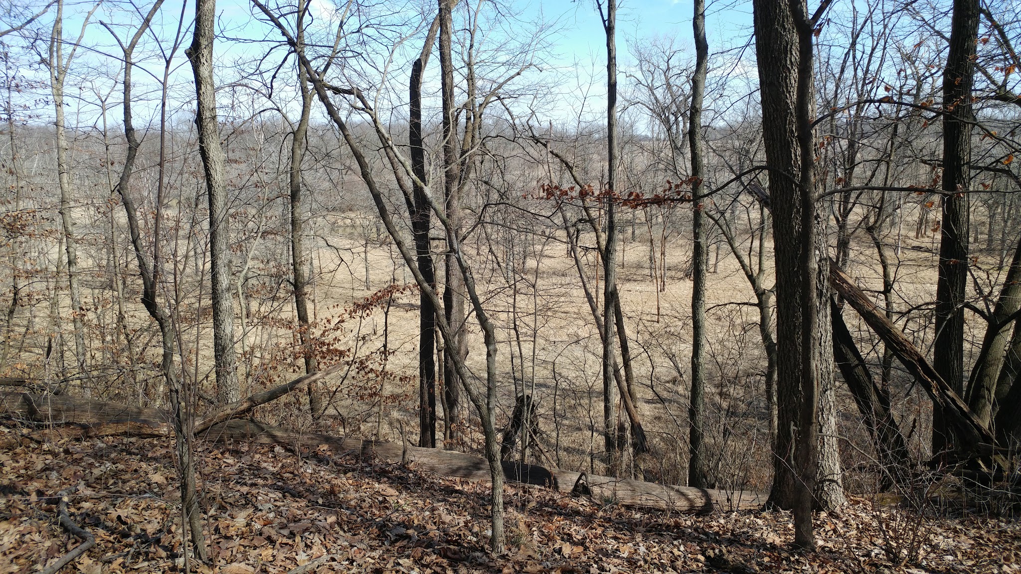 Shady Hollow Nature Area Parking - Hudson, IL