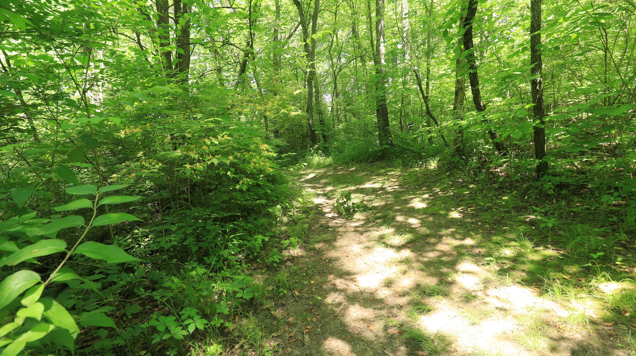 Shady Hollow Nature Area Parking - Hudson, IL