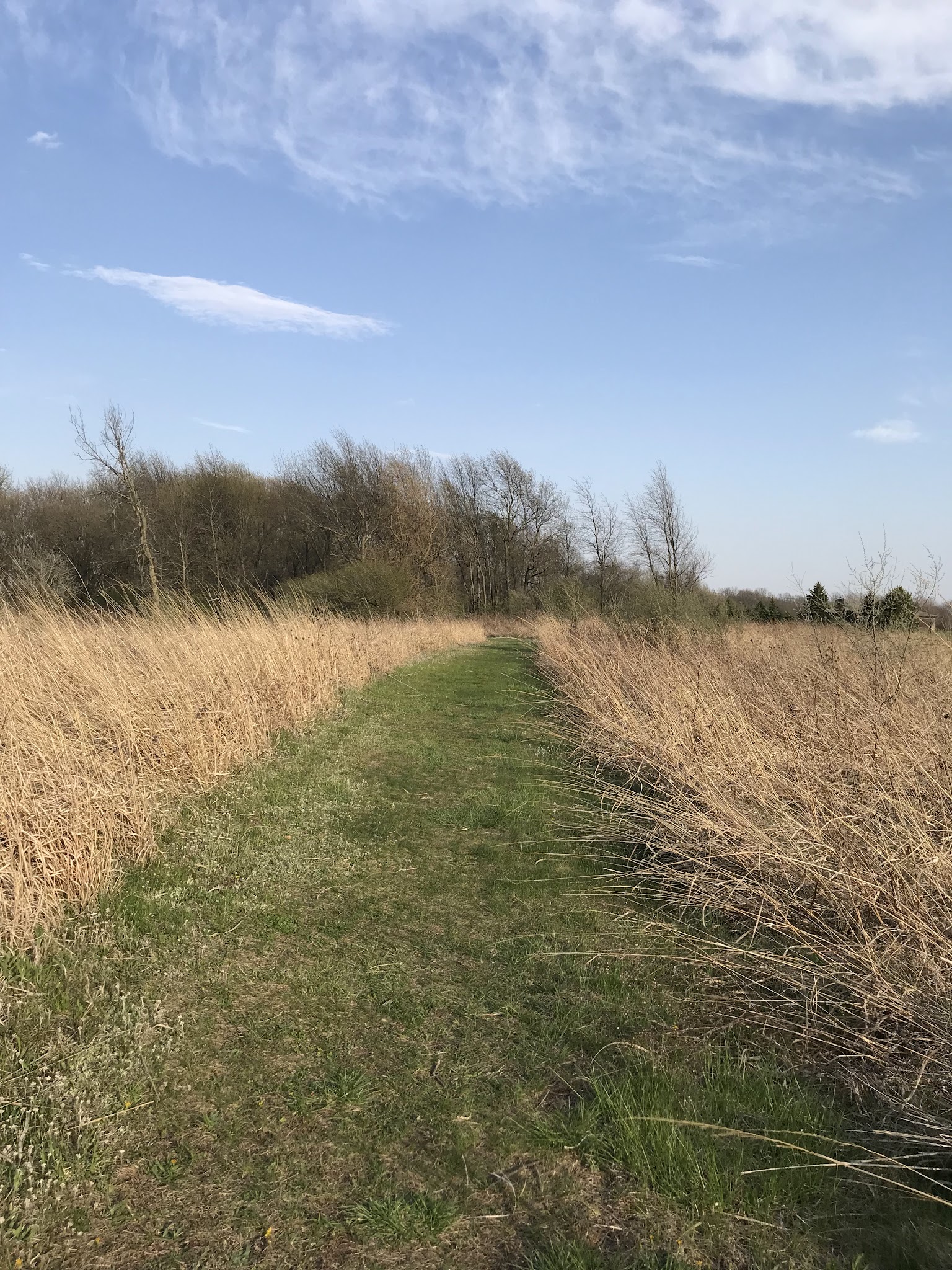 Shady Hollow Nature Area Parking - Hudson, IL