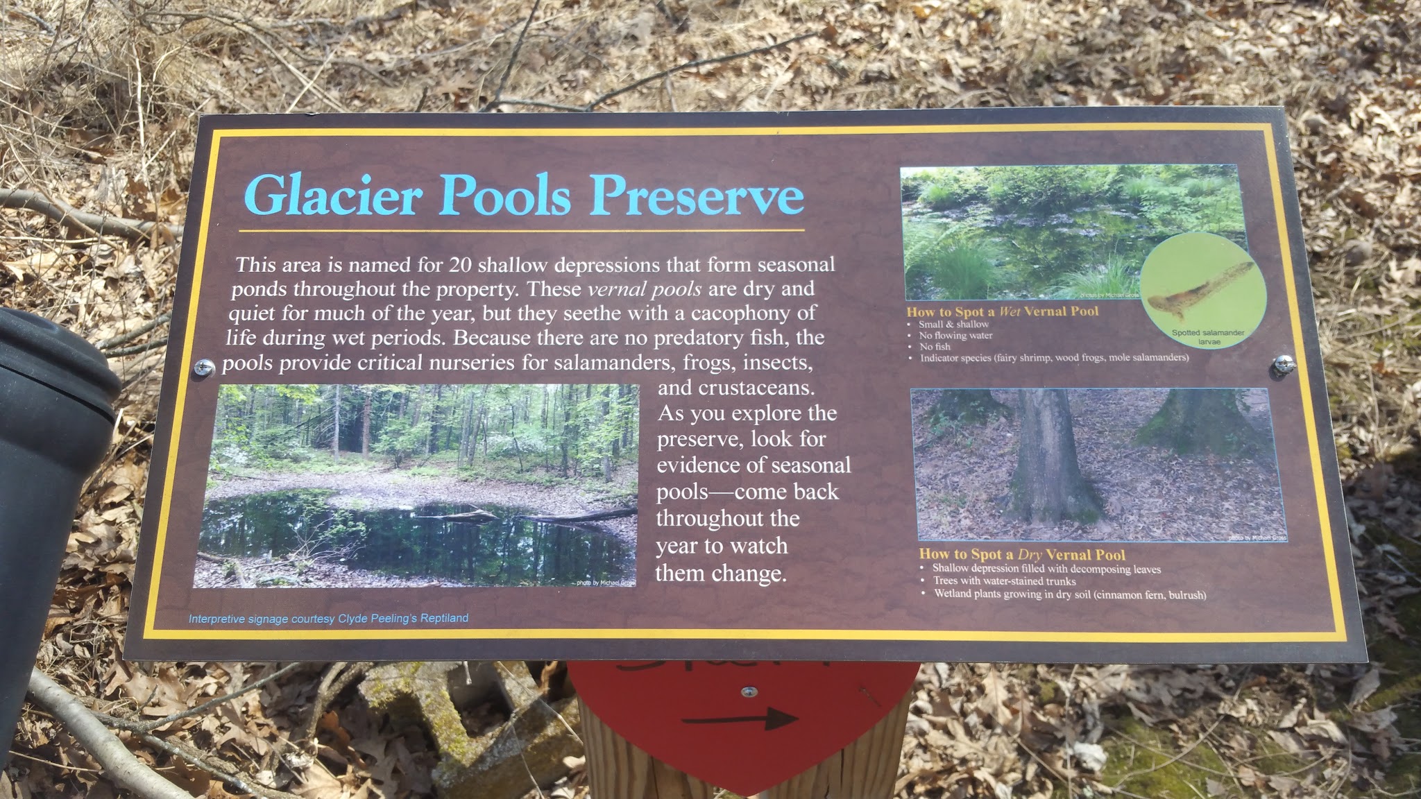 Glacier Pools Preserve - Hughesville, PA
