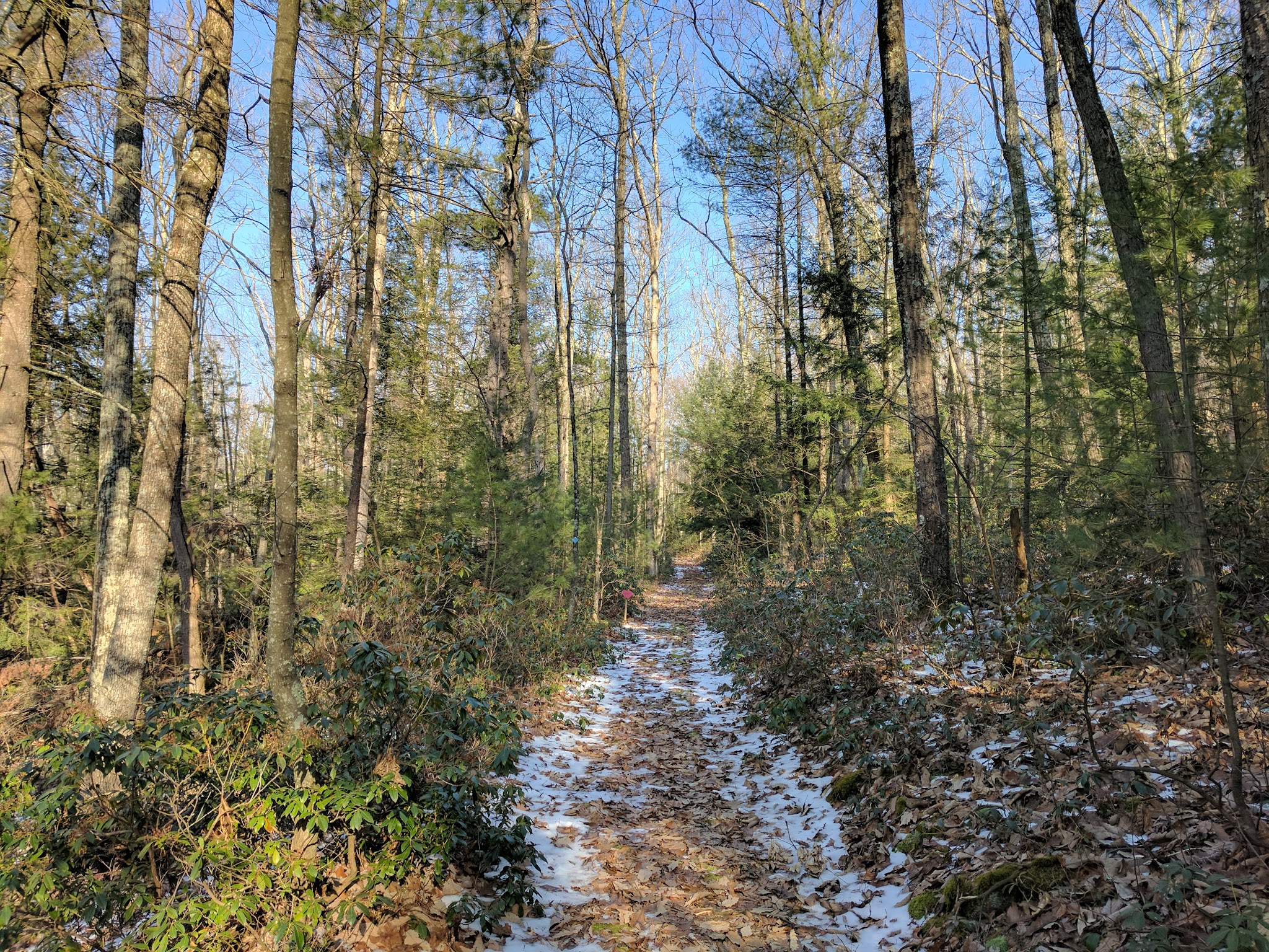 Glacier Pools Preserve - Hughesville, PA
