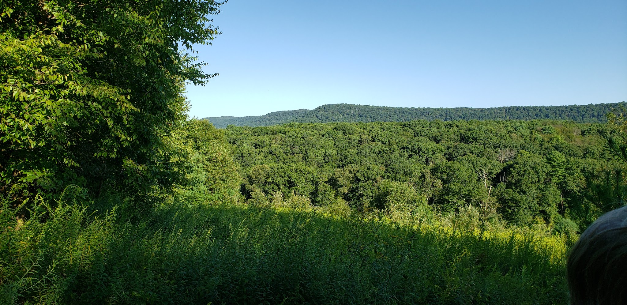 Glacier Pools Preserve - Hughesville, PA