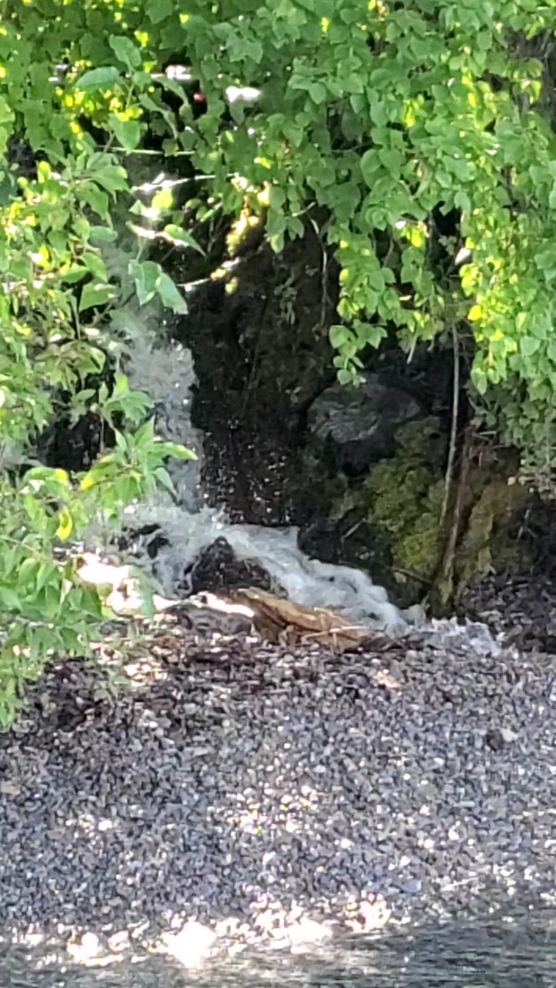 Hungry Horse/Glacier View/Spotted Bear Ranger Stations - Hungry Horse, MT
