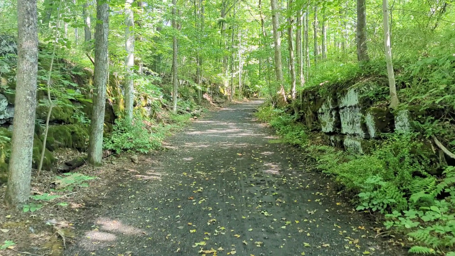 Hurley Marbletown Trailhead - Hurley, NY