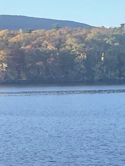 The West Hurley Park - Hurley, NY