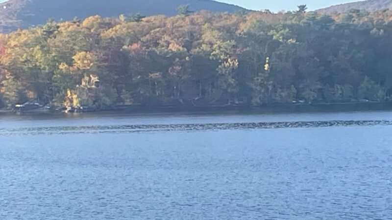 The West Hurley Park - Hurley, NY