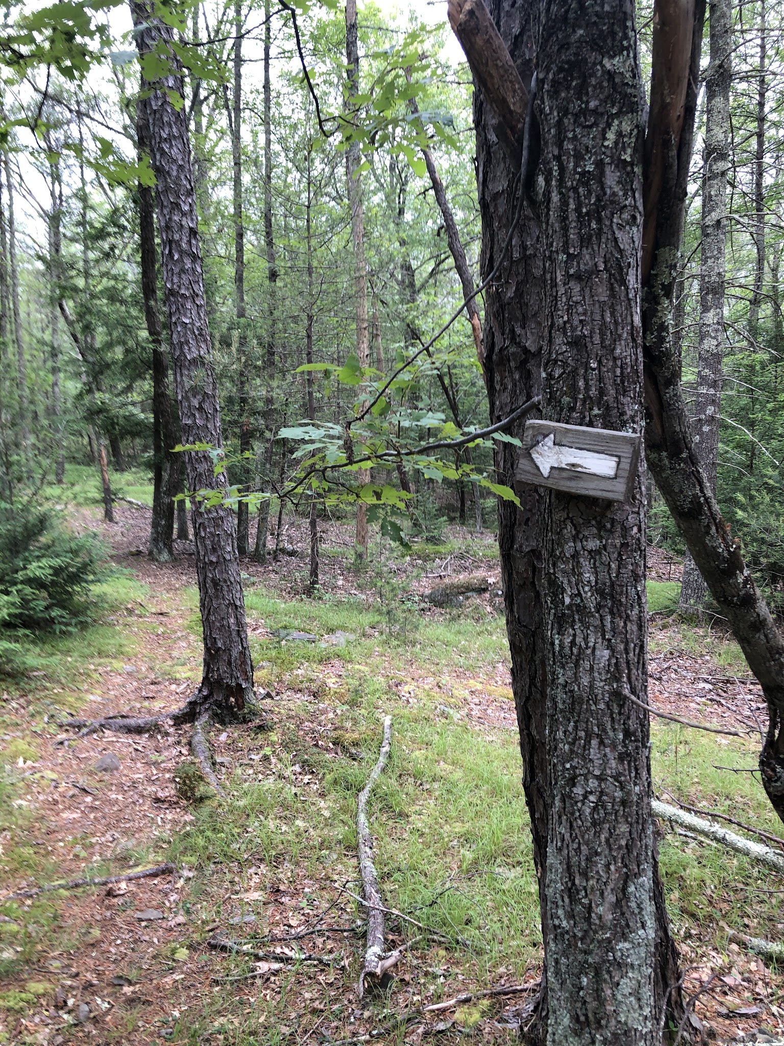 The West Hurley Park - Hurley, NY