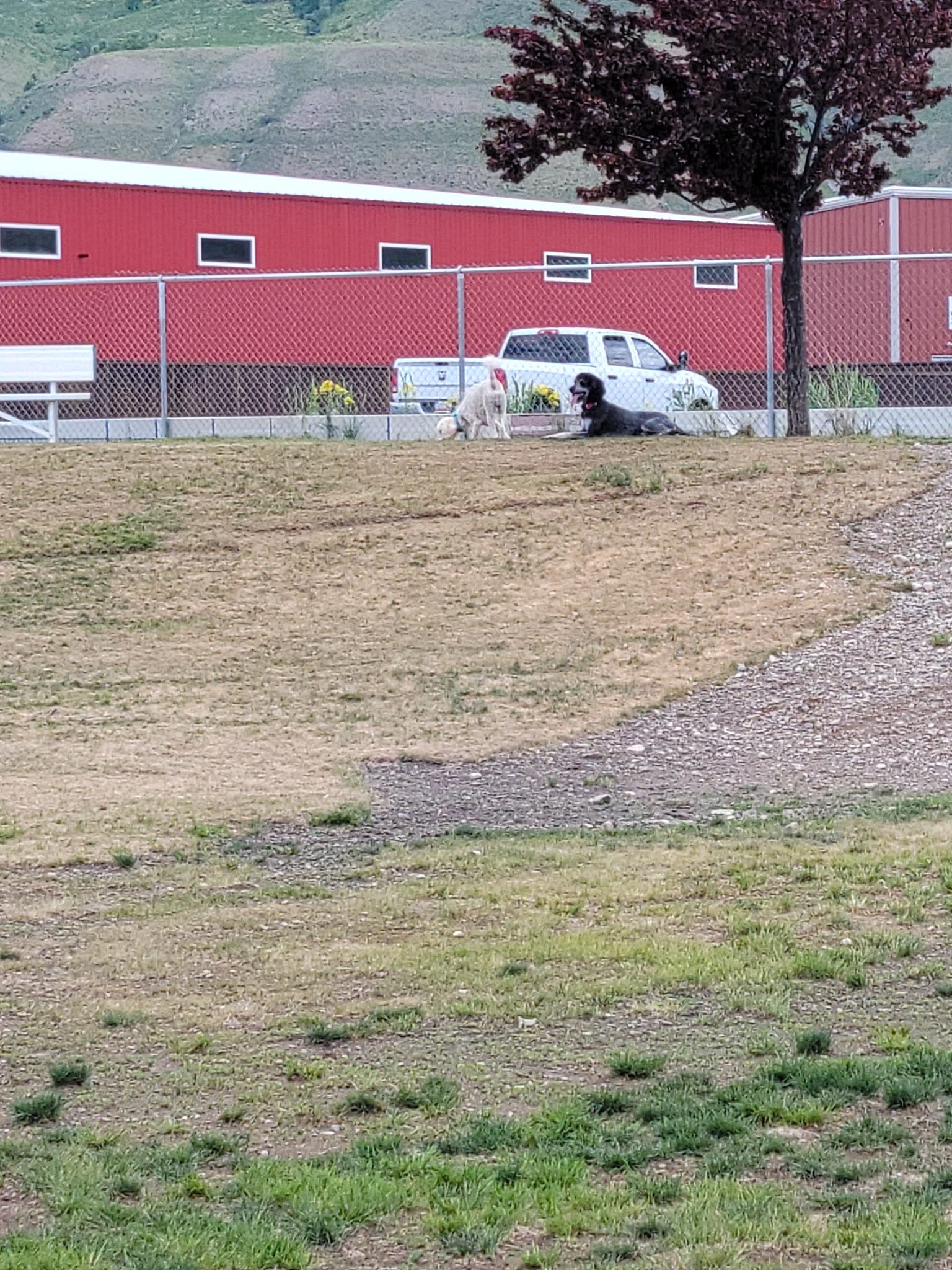 Blacksmith Fork Dog Park - Hyrum, UT