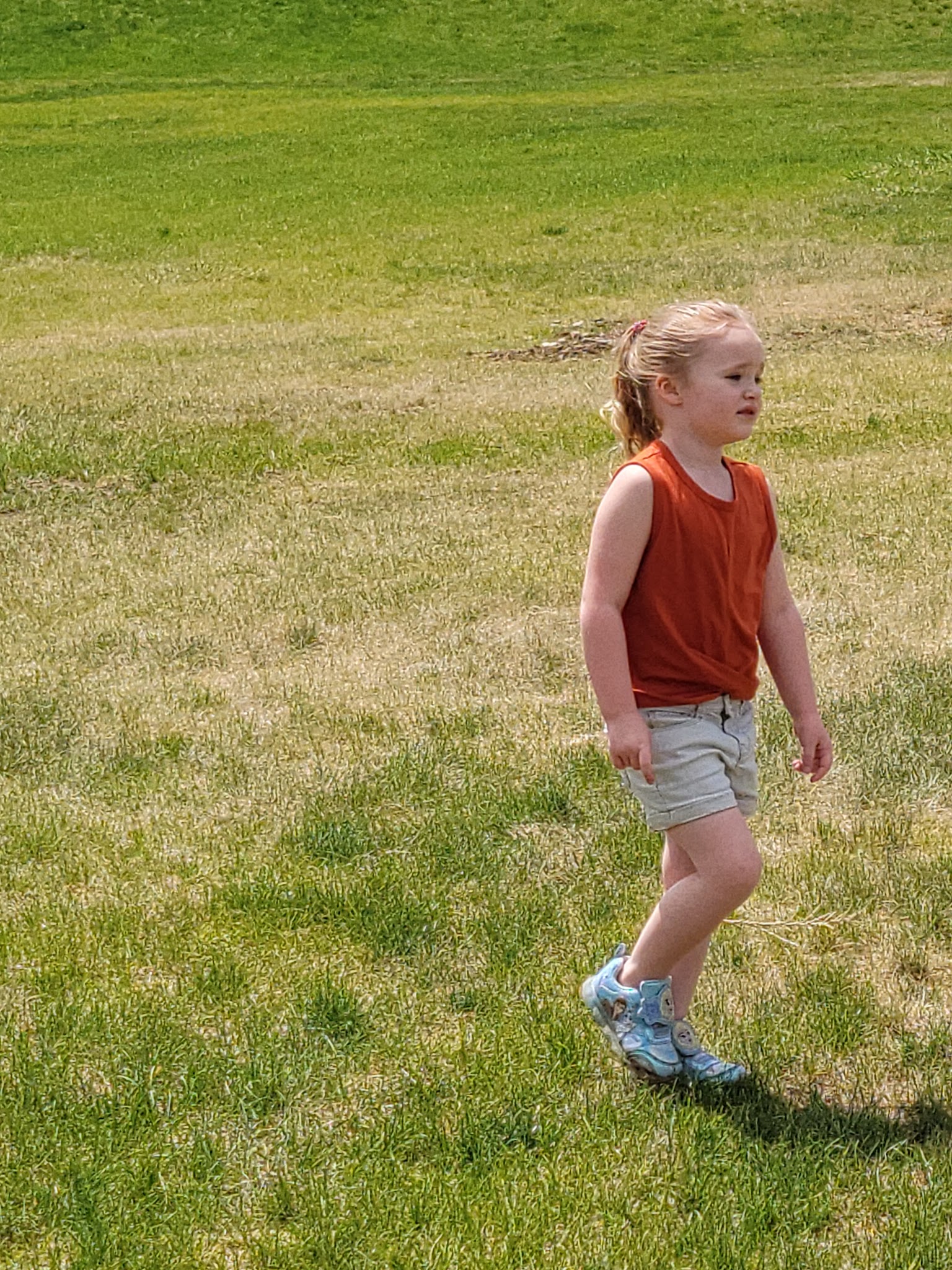 Blacksmith Fork Dog Park - Hyrum, UT