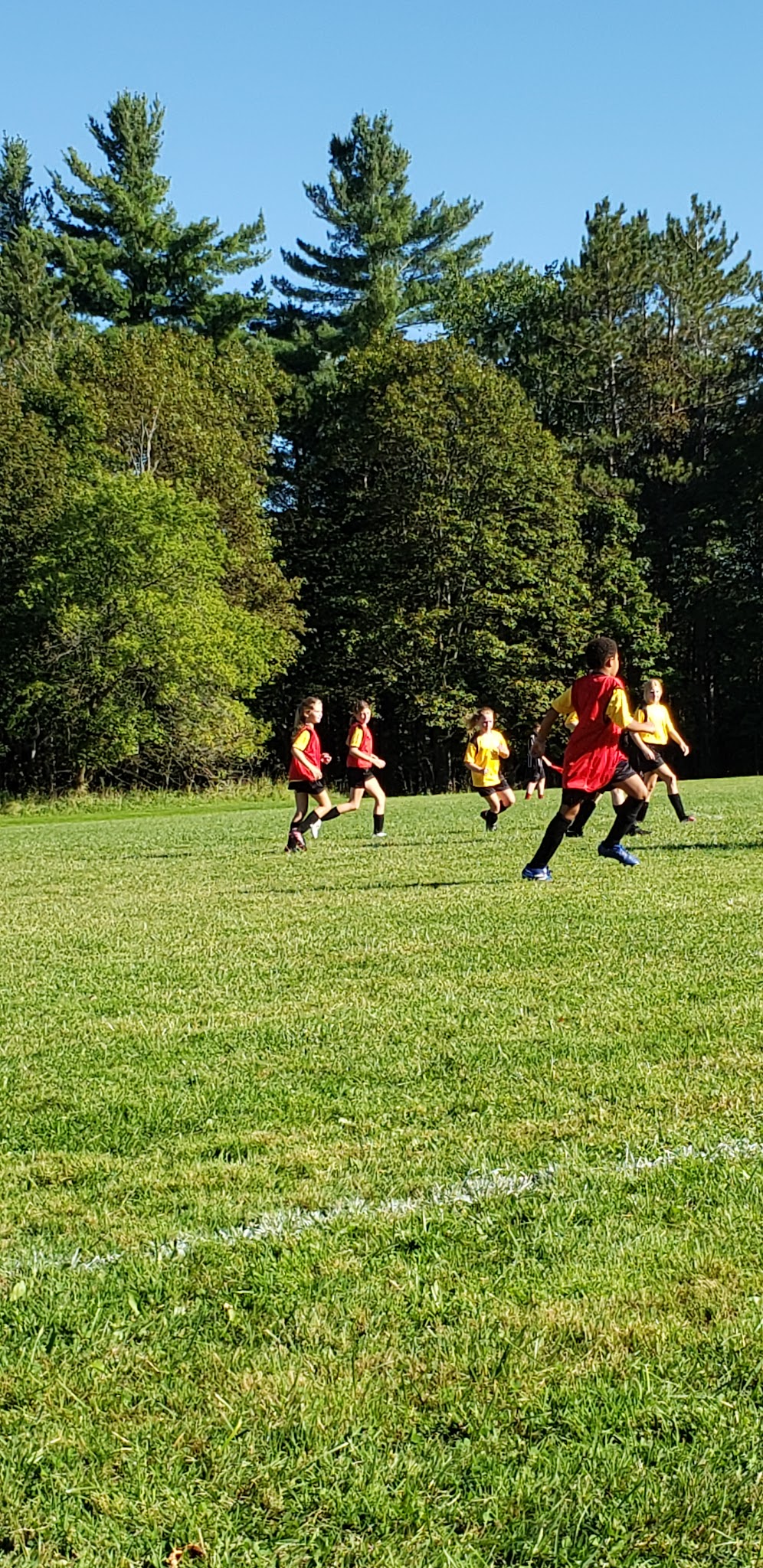 Russell Park Mountain Biking Trails - Ilion, NY