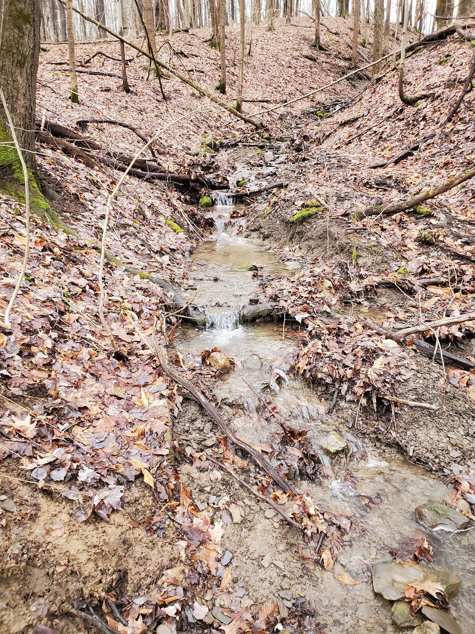 Russell Park Mountain Biking Trails - Ilion, NY