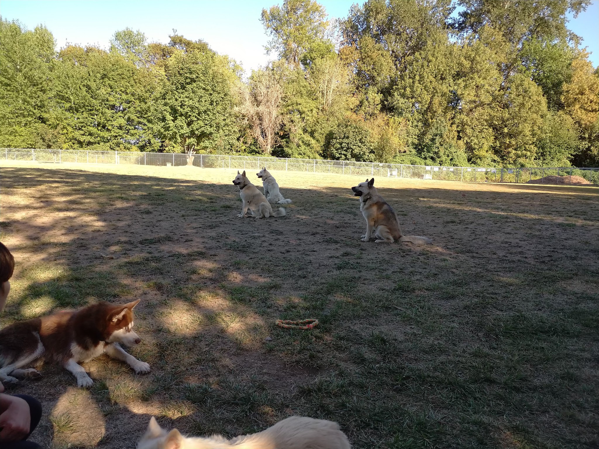 Independence Dog Park - Independence, OR