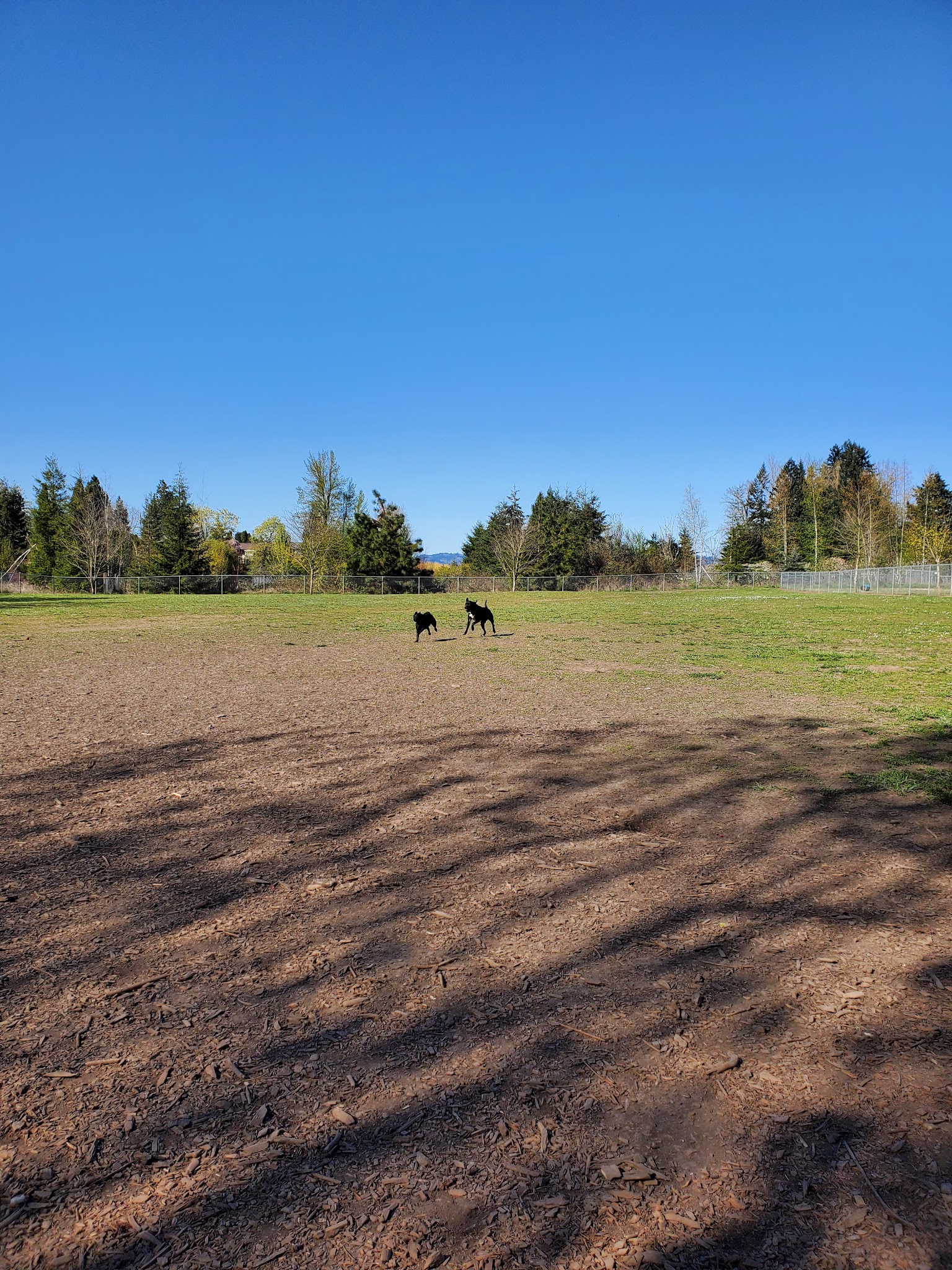 Independence Dog Park - Independence, OR