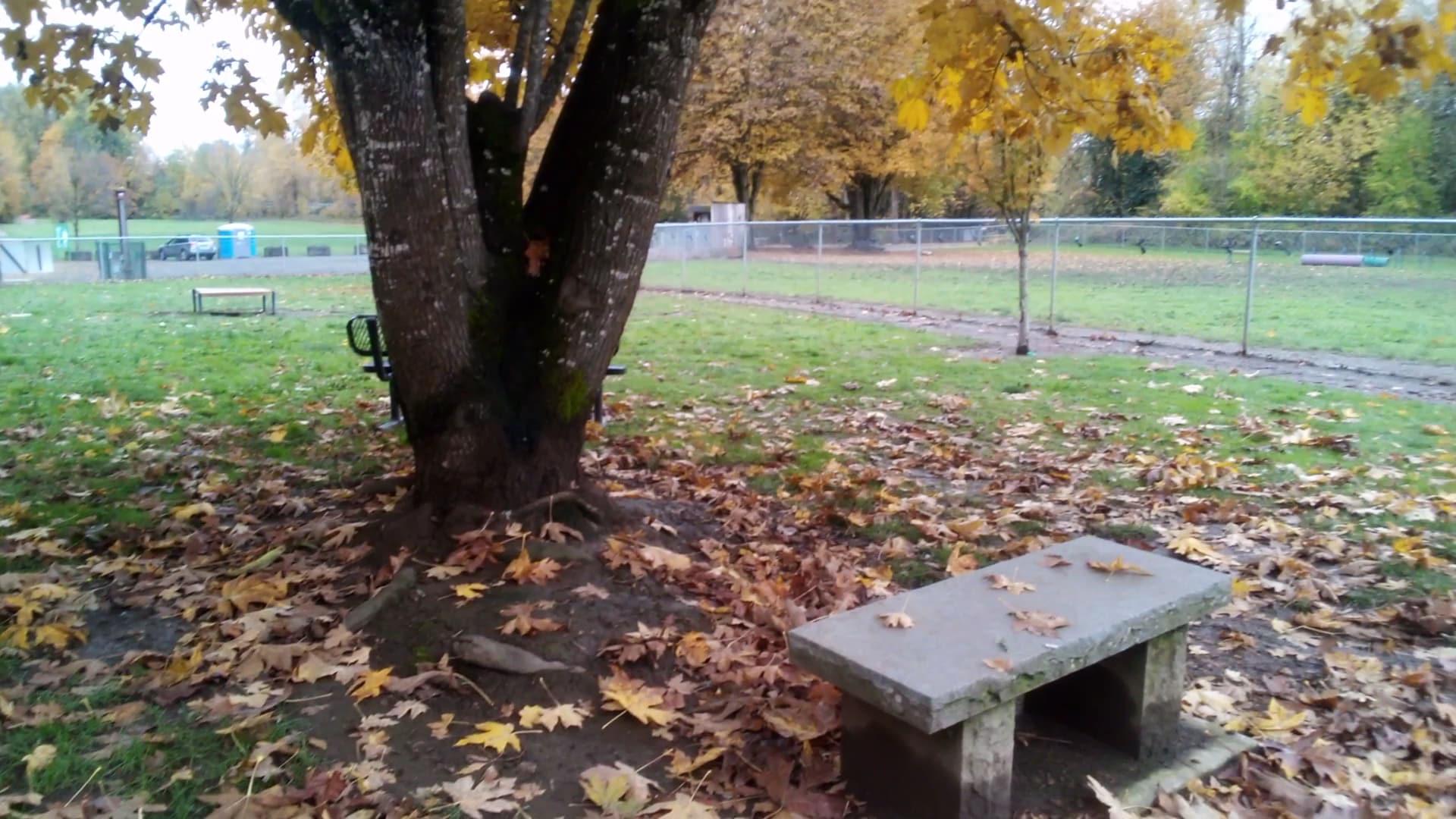 Independence Dog Park - Independence, OR