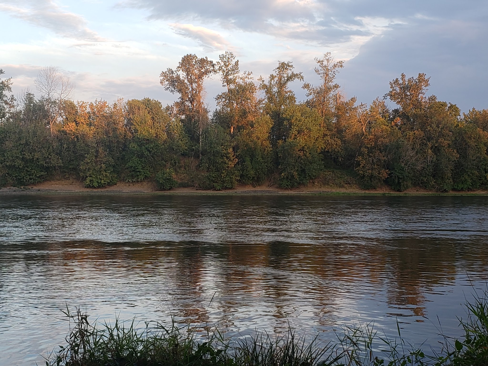 Independence Dog Park - Independence, OR