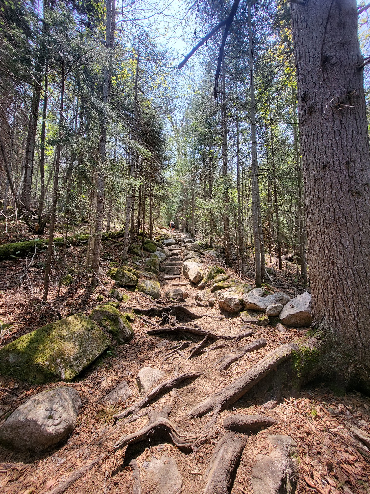 Blue Mountain - Indian Lake, NY