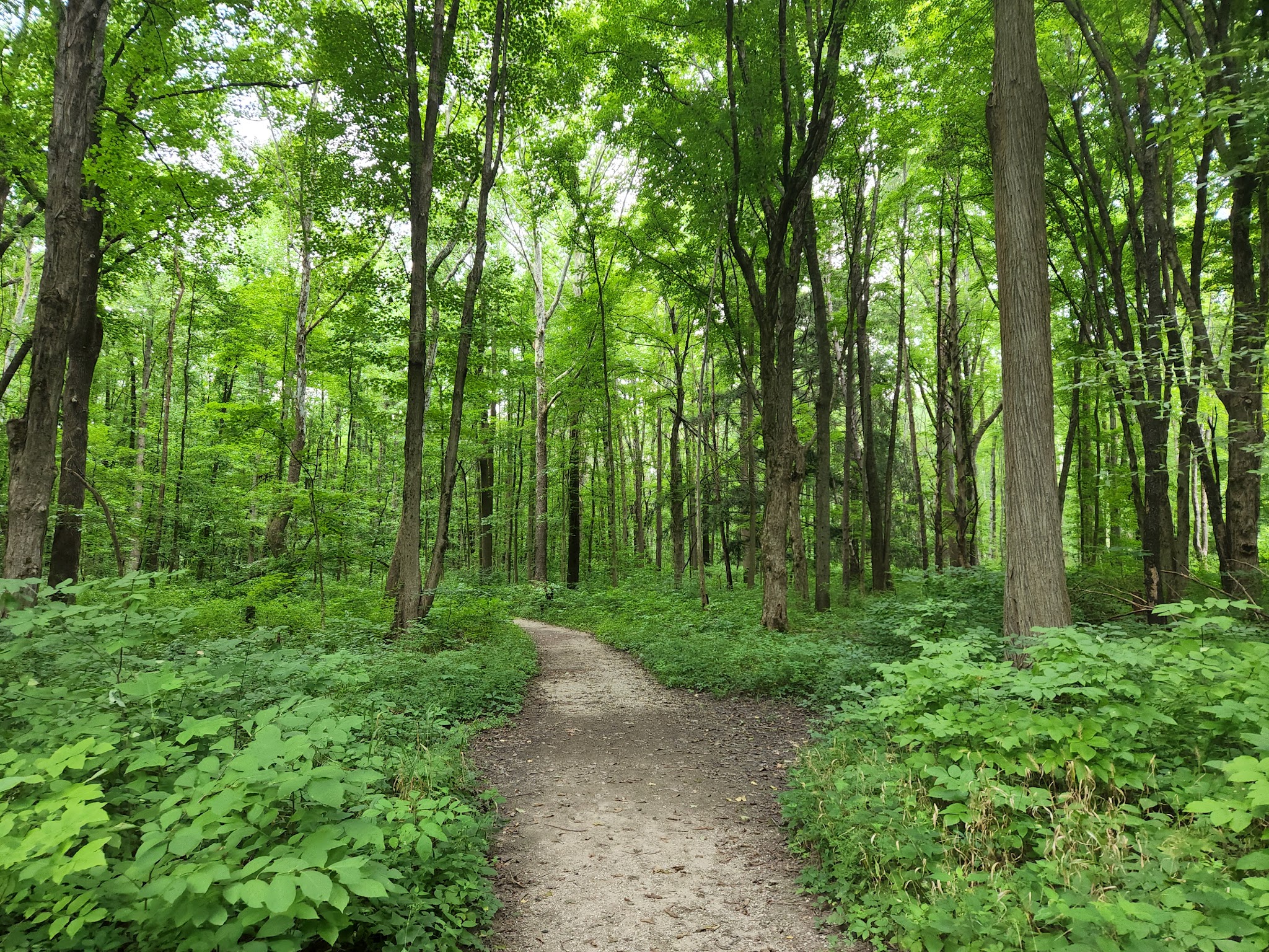 Eagle Creek Park - Indianapolis, IN