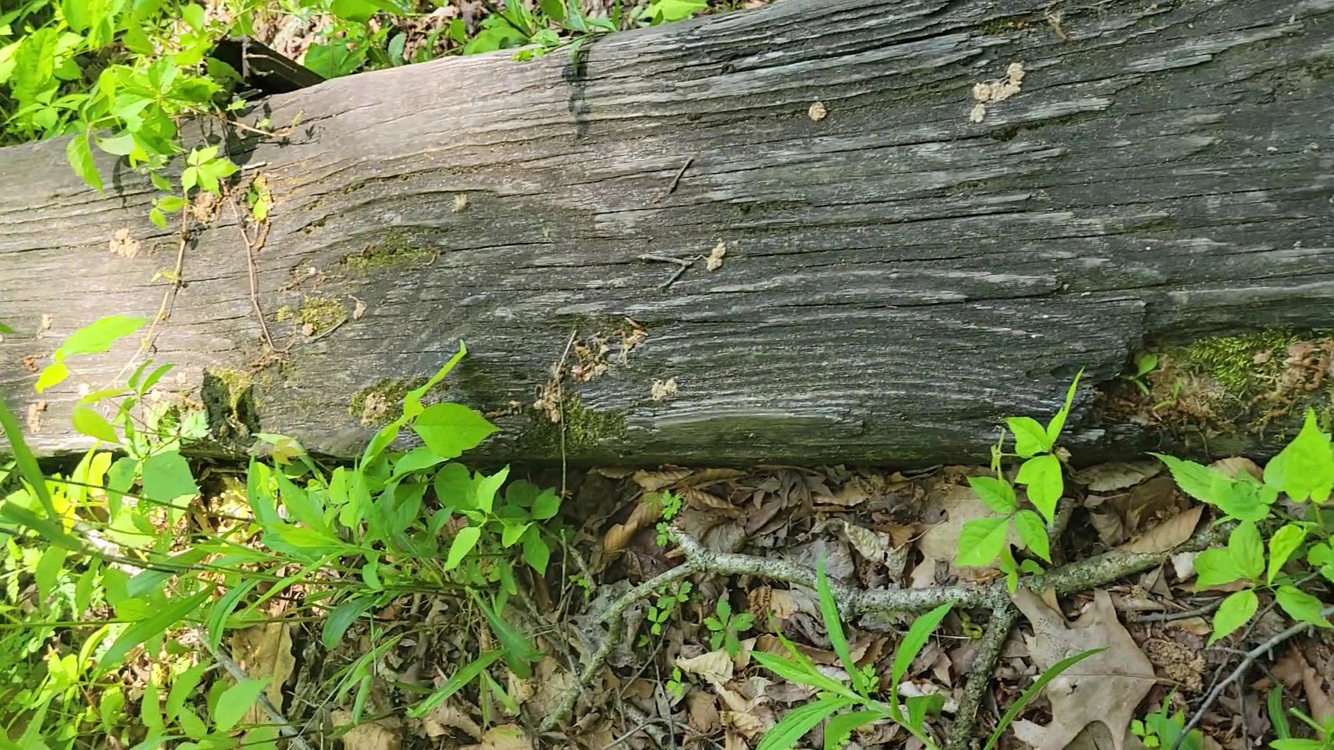 Eagle Creek Park - Indianapolis, IN