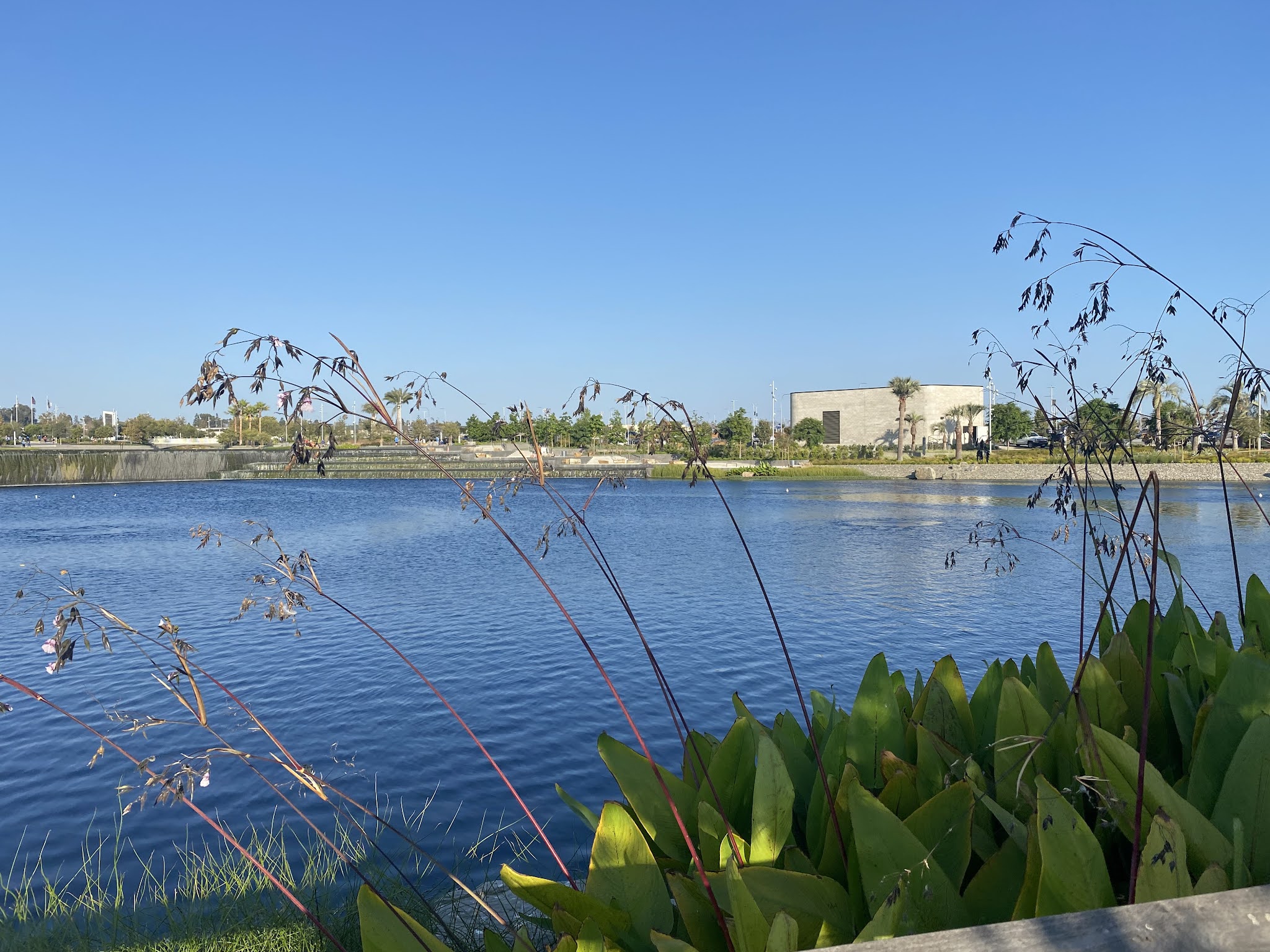 Rivers Lake - Inglewood, CA
