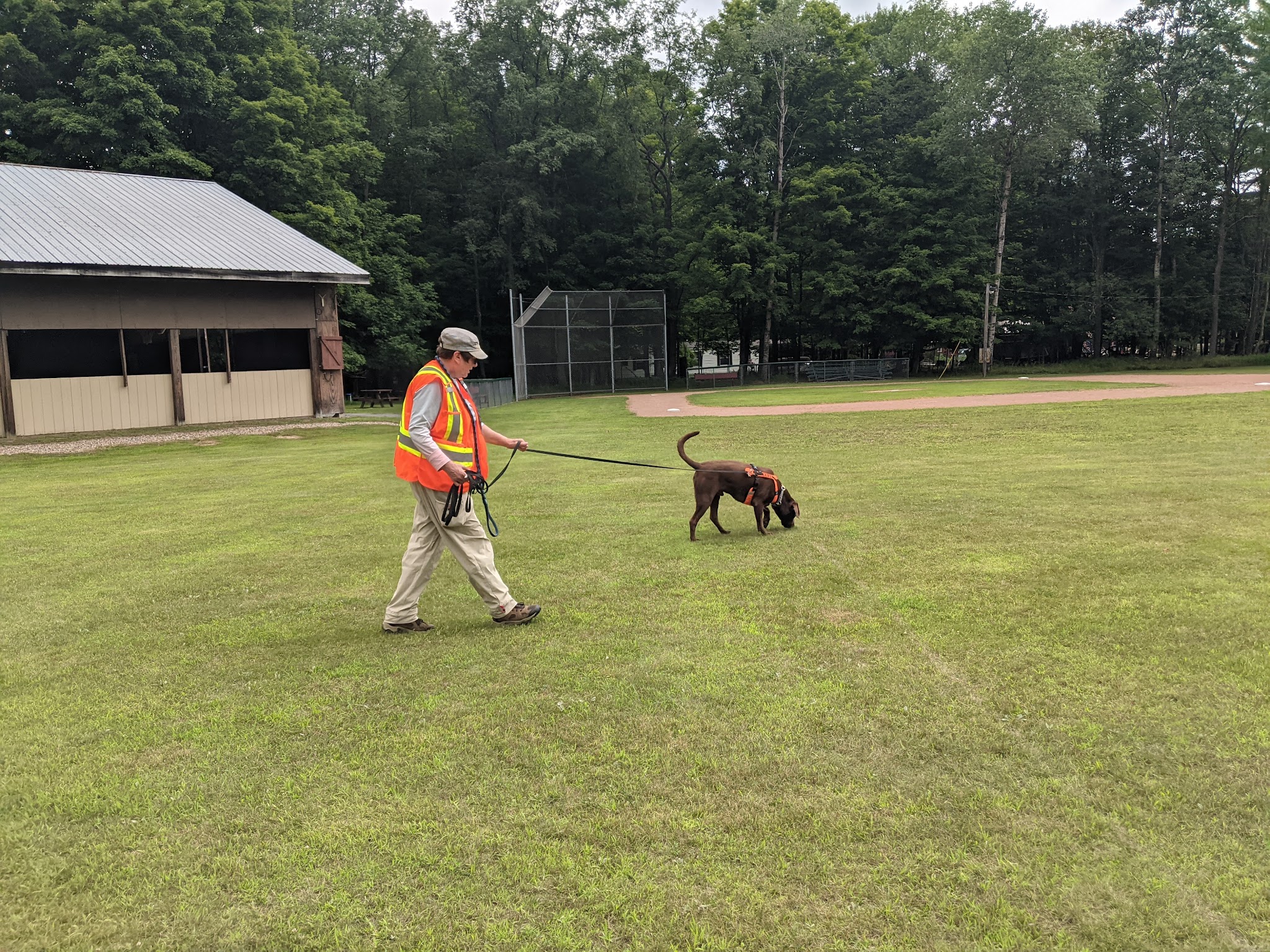 Fern Park - Inlet, NY