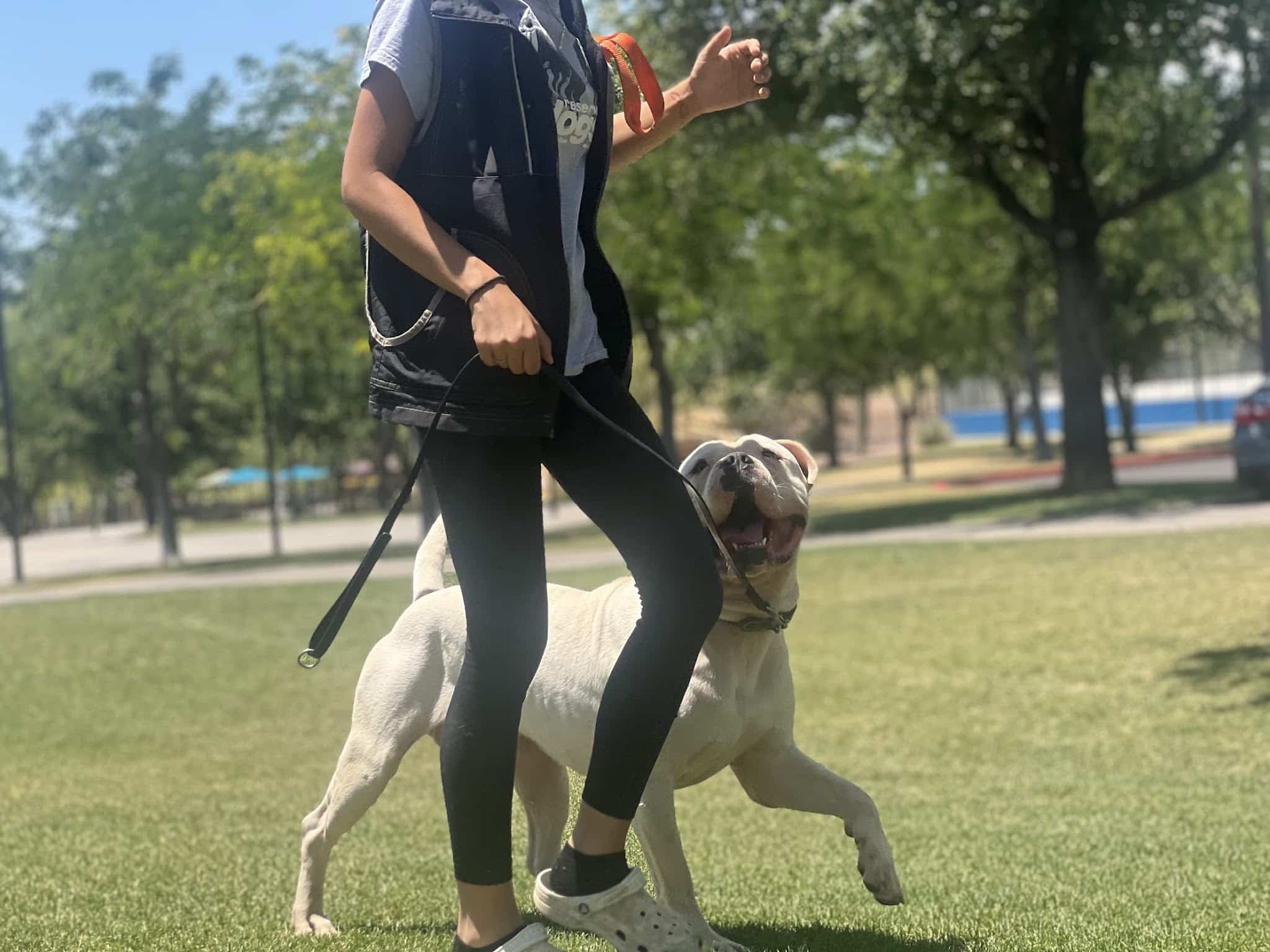 Integrity K9 Services - ,