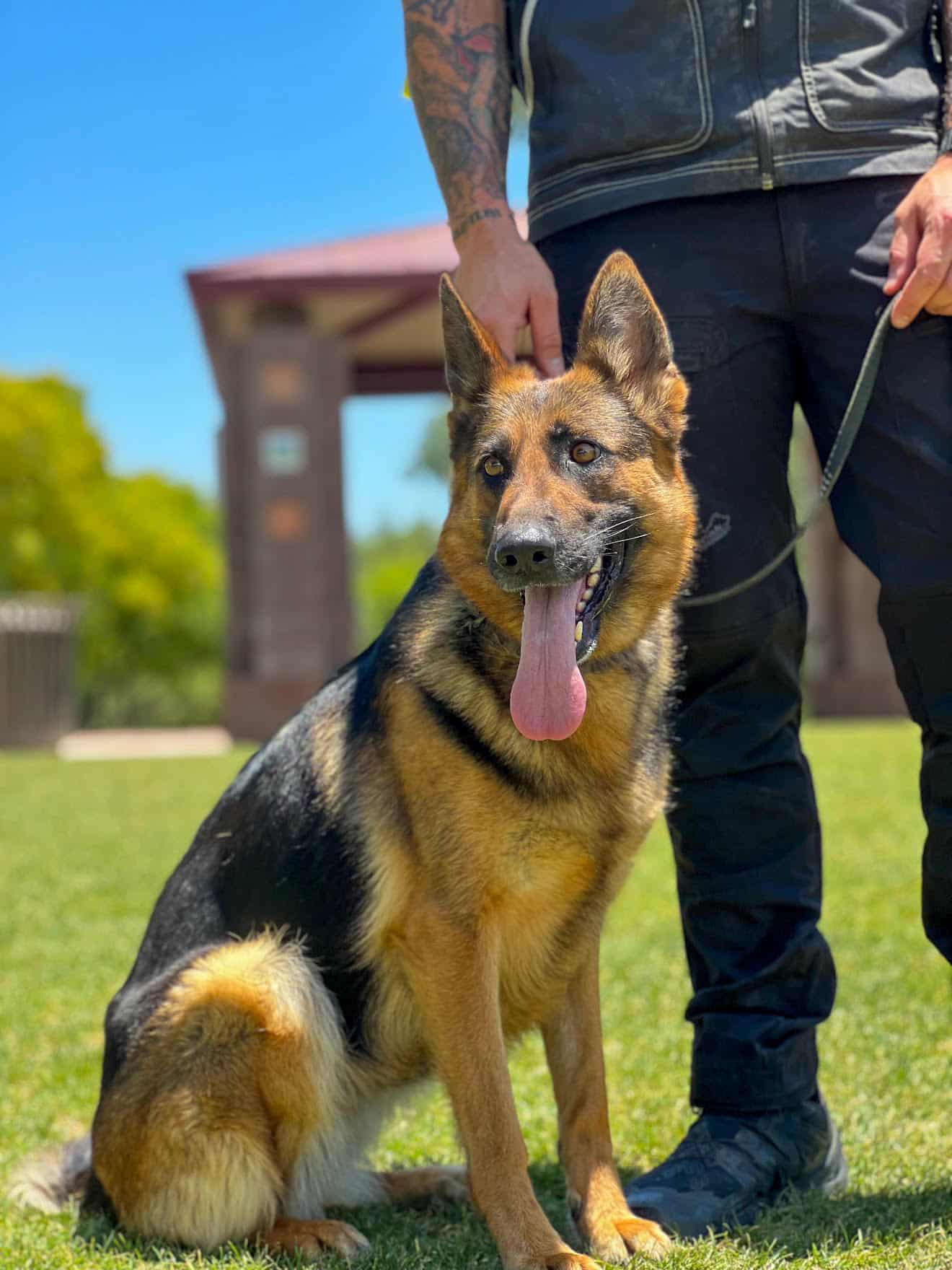 Integrity K9 Services - ,