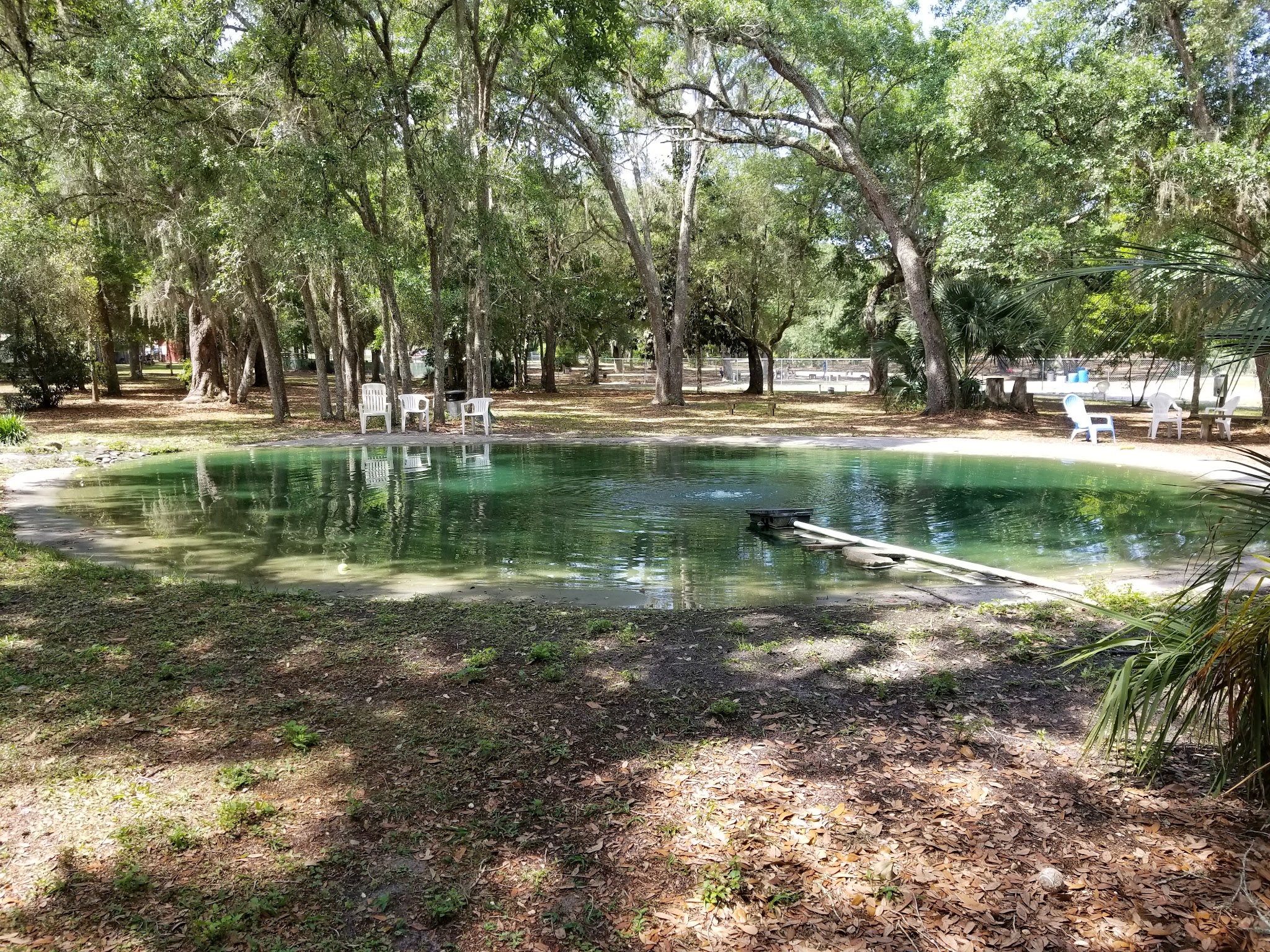 Bark Central Dog Park - Inverness, FL