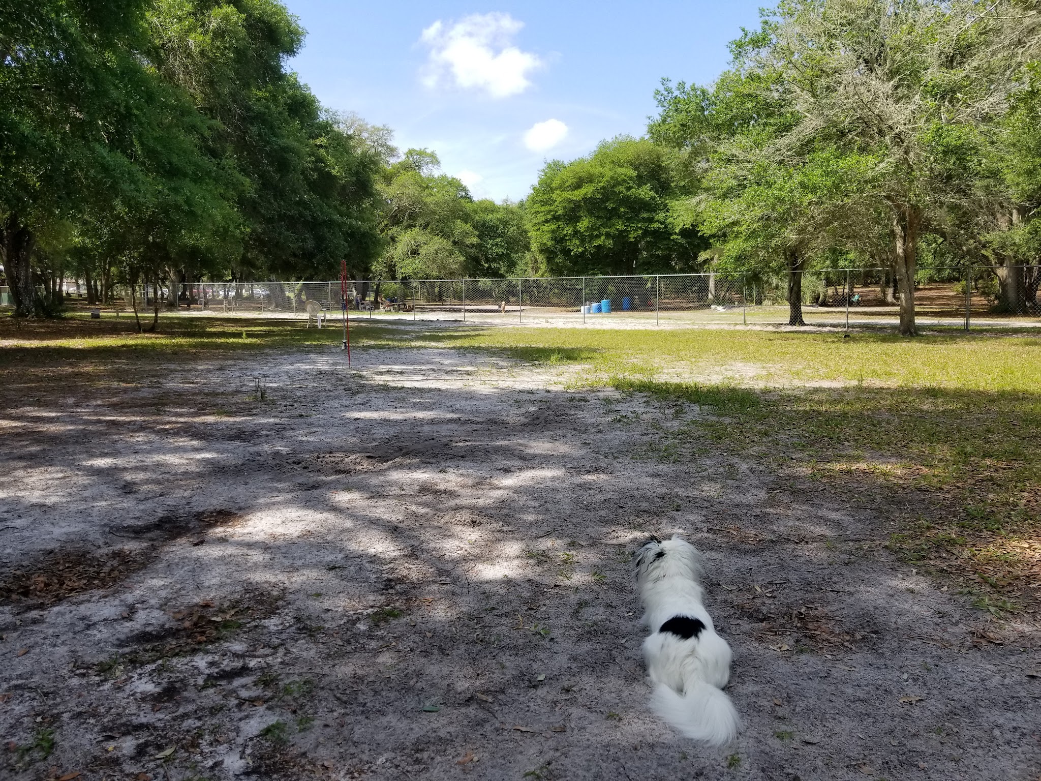 Bark Central Dog Park - Inverness, FL