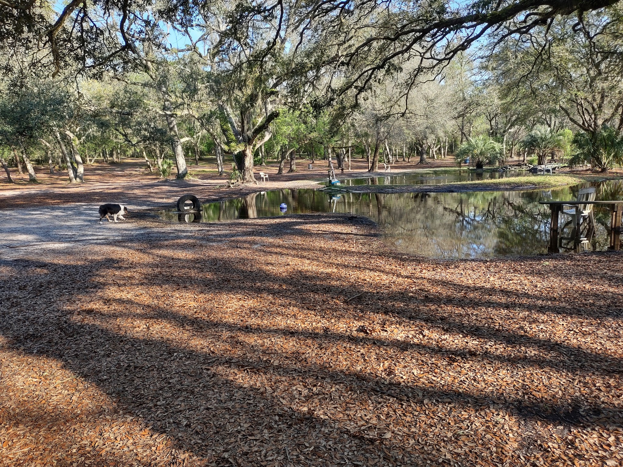 Bark Central Dog Park - Inverness, FL
