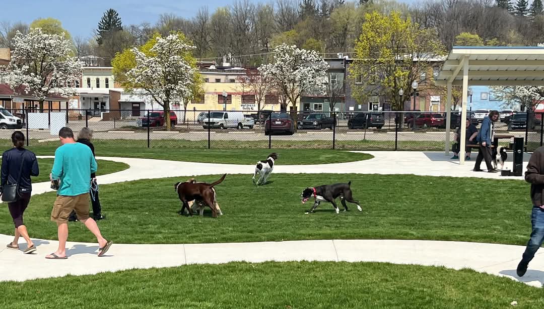 Ionia County dog park - Ionia, MI