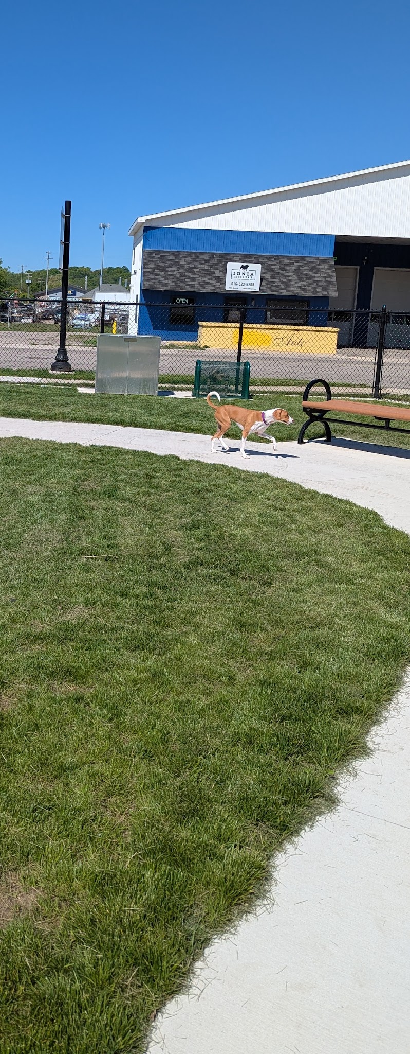 Ionia County dog park - Ionia, MI