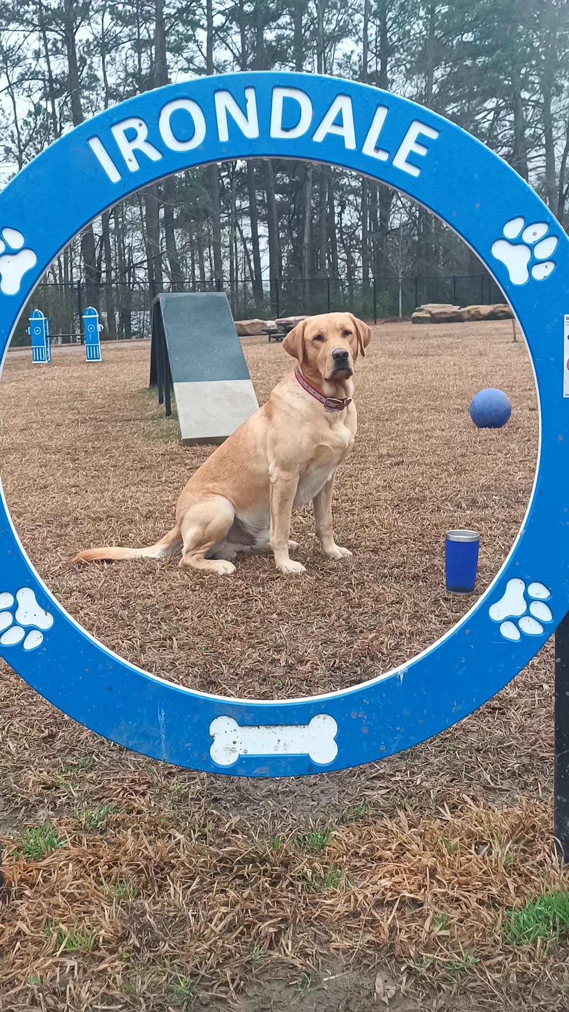 Ellard Park - Irondale, AL