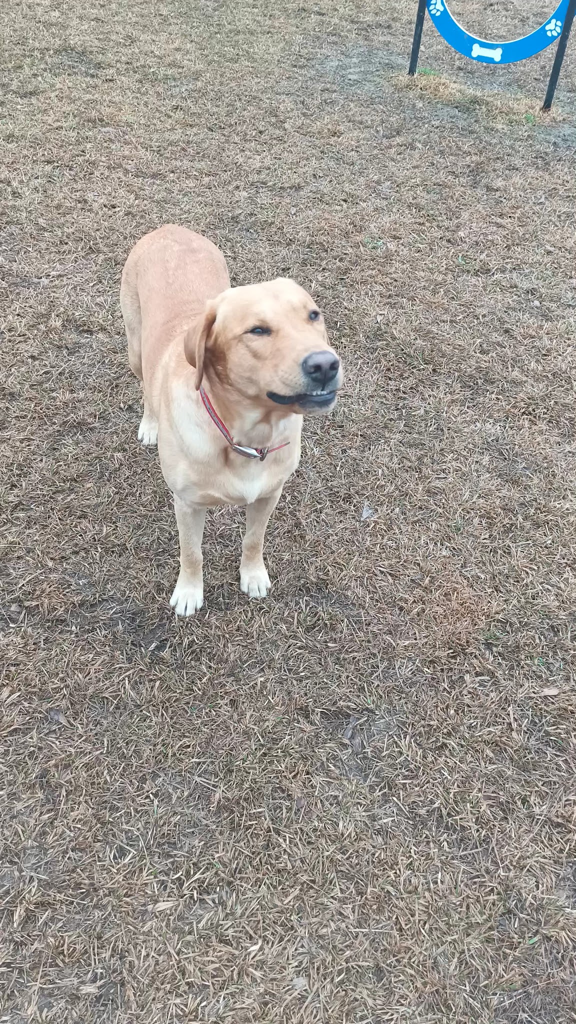 Ellard Park - Irondale, AL