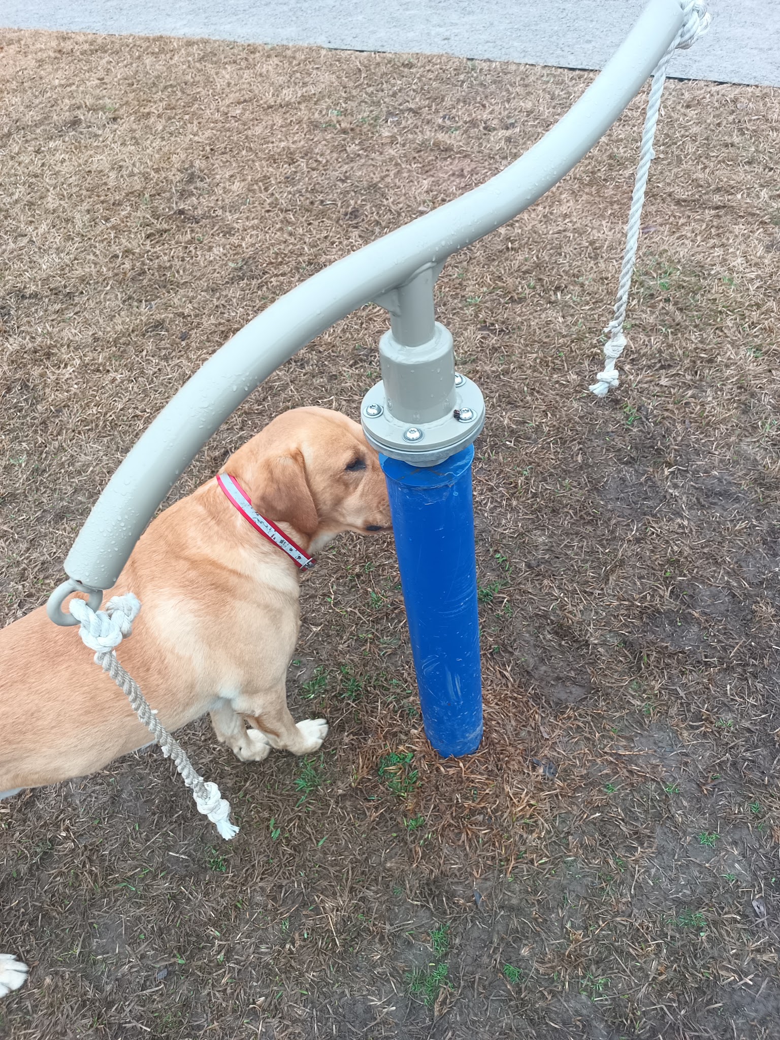 Ellard Park - Irondale, AL