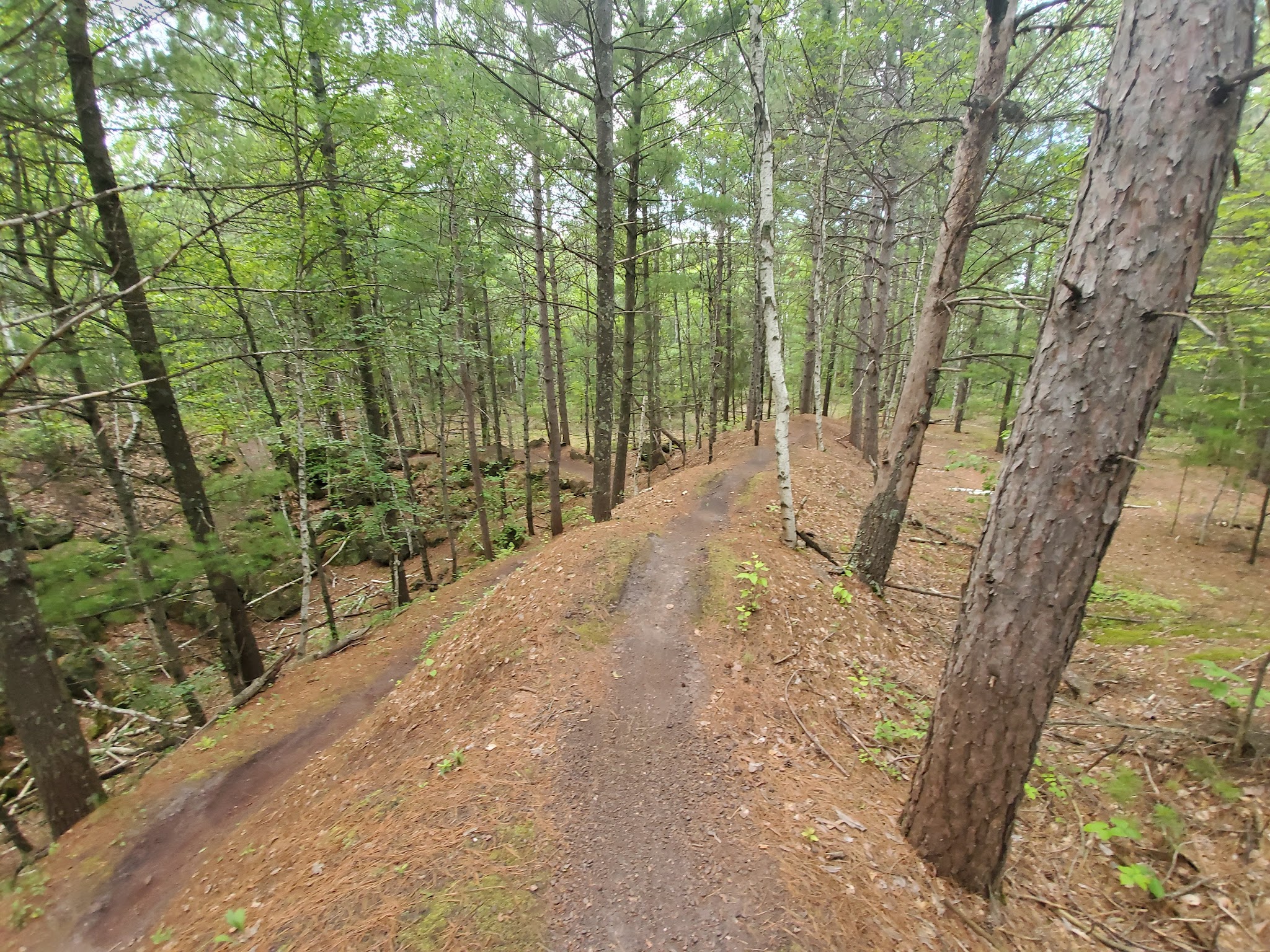 Cuyuna Lakes Mtn Bike Trails - Ironton, MN