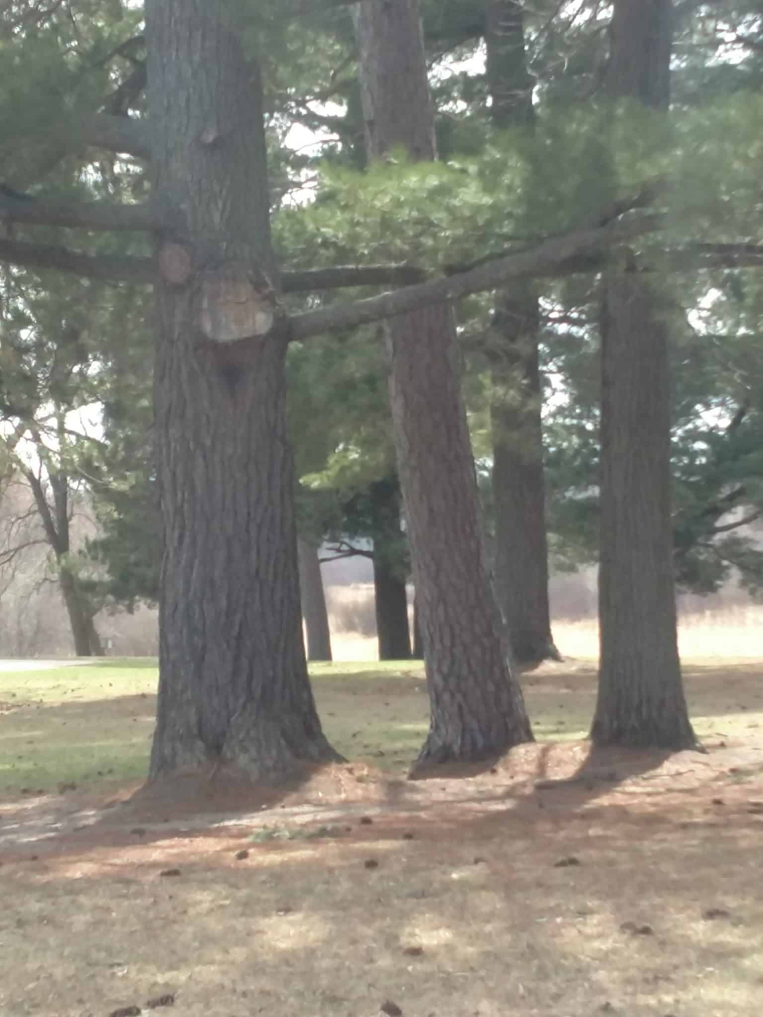 Morningside Park - Ironton, MN