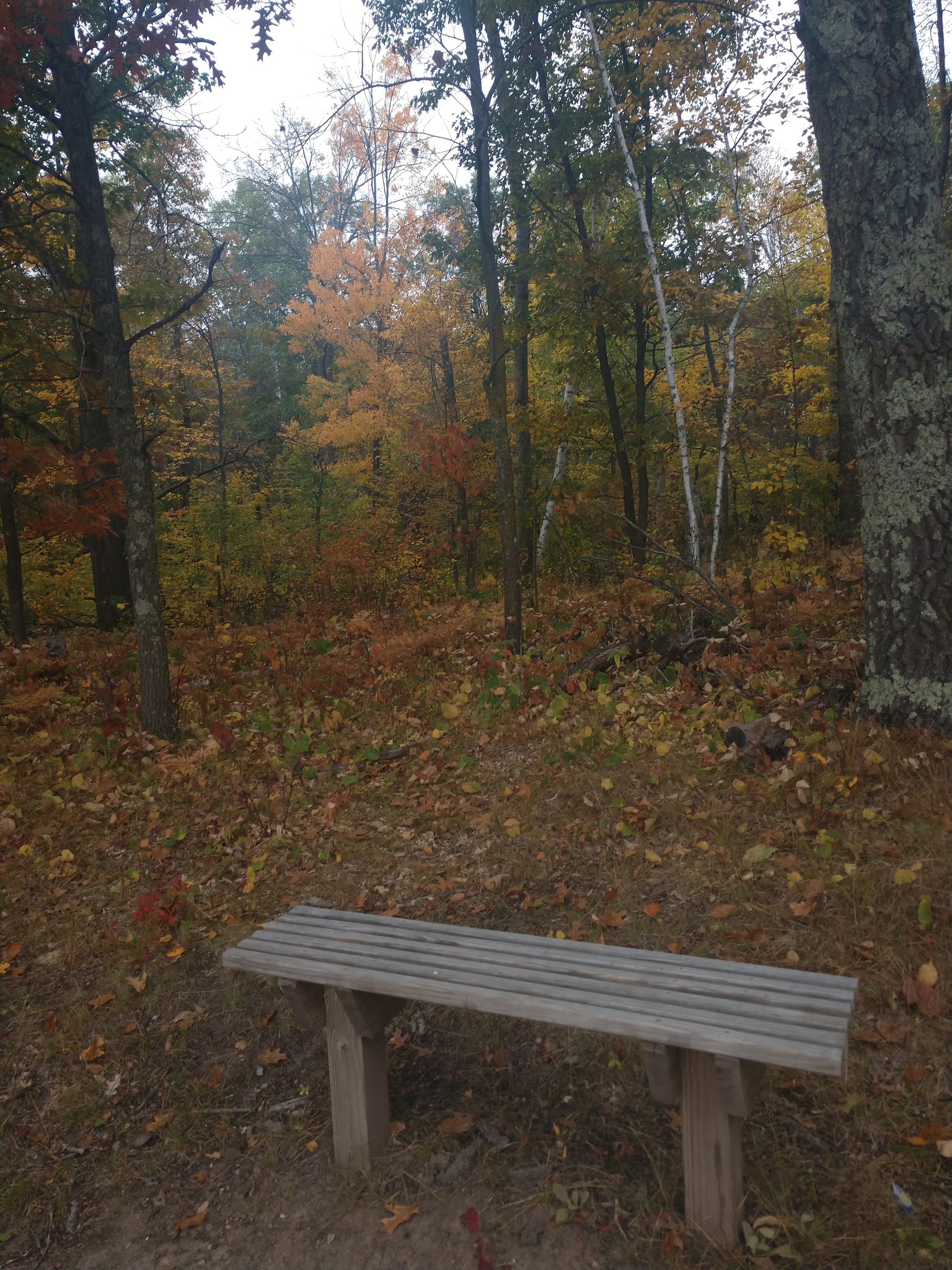 Portage Lake Trail - Ironton, MN