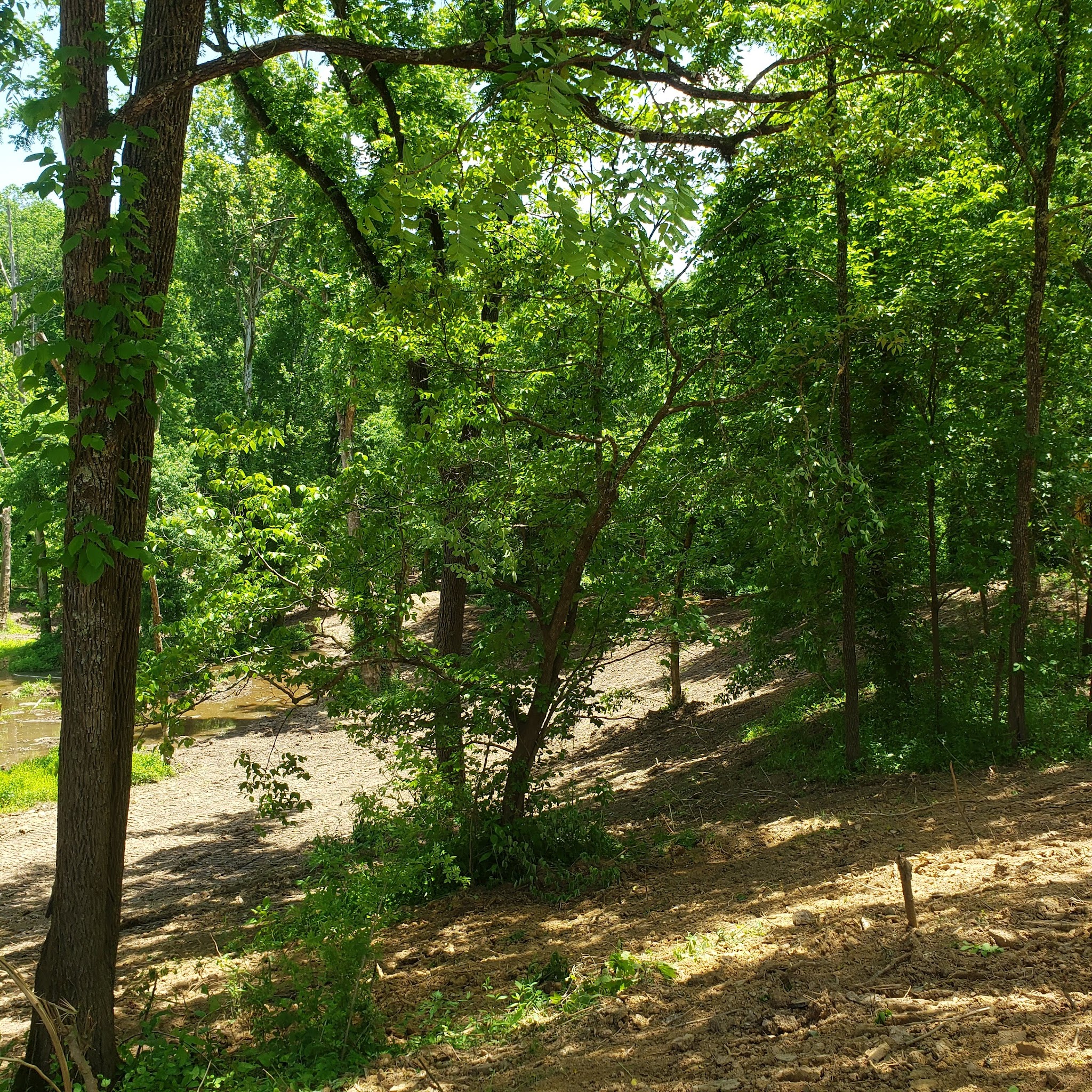 Kentucky River Park - Irvine, KY